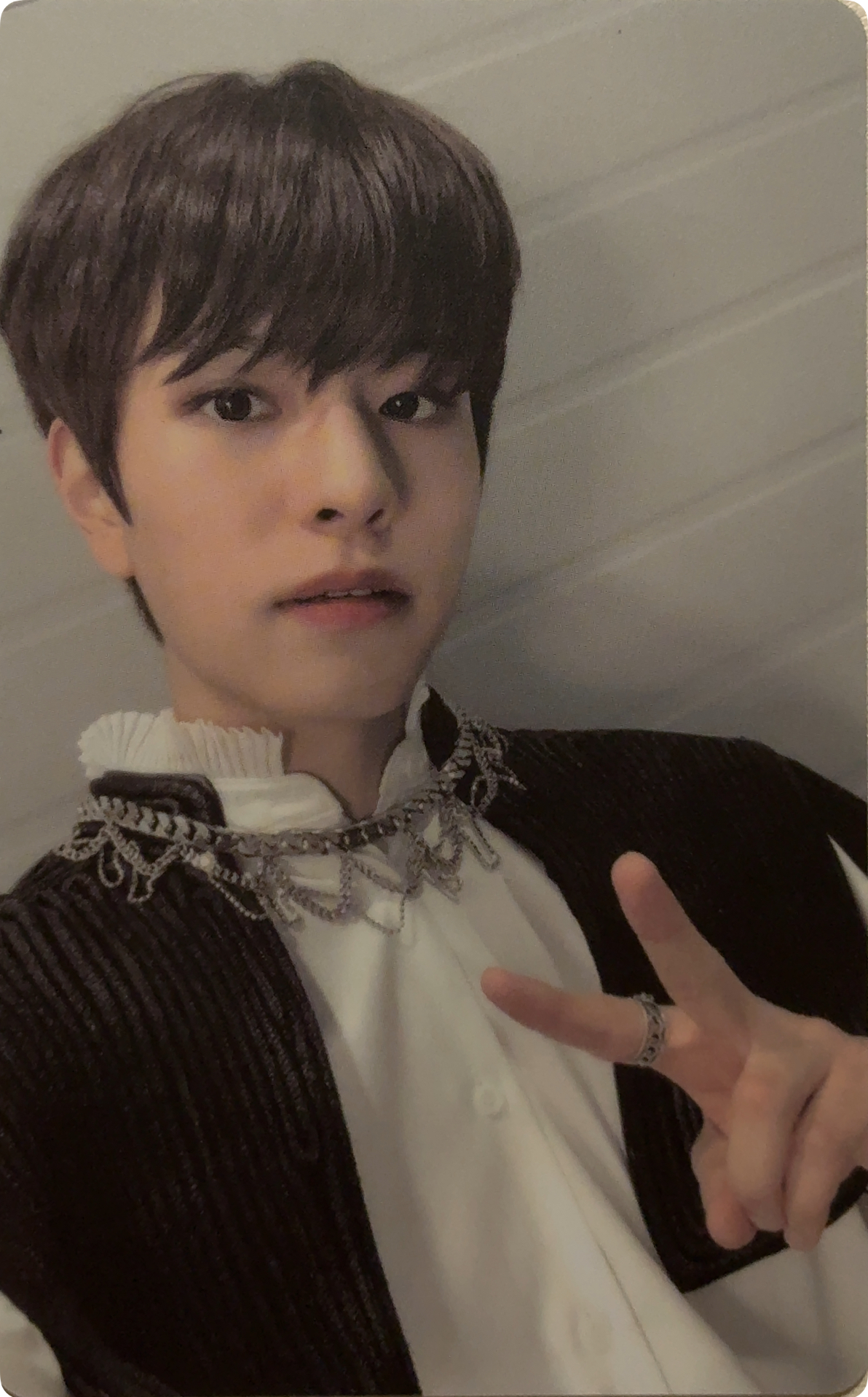 SKZ NOEASY sw LD2.0特典