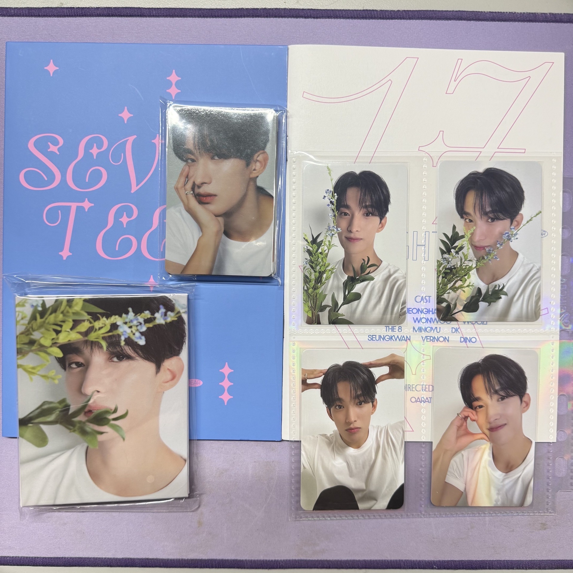 17 is right here Dear克拉盤 碩盤一套