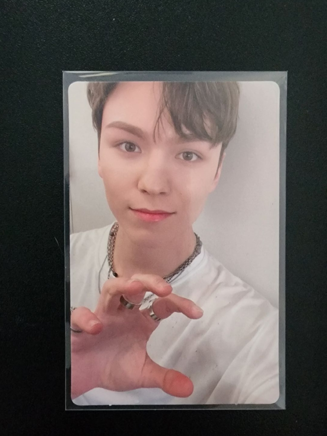 專卡系列-哲奎率