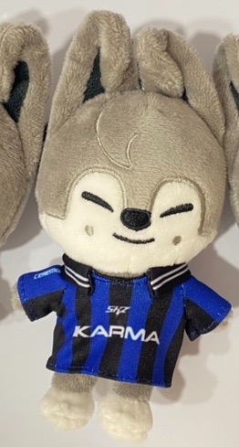 KARMA skzoo電子專娃專 