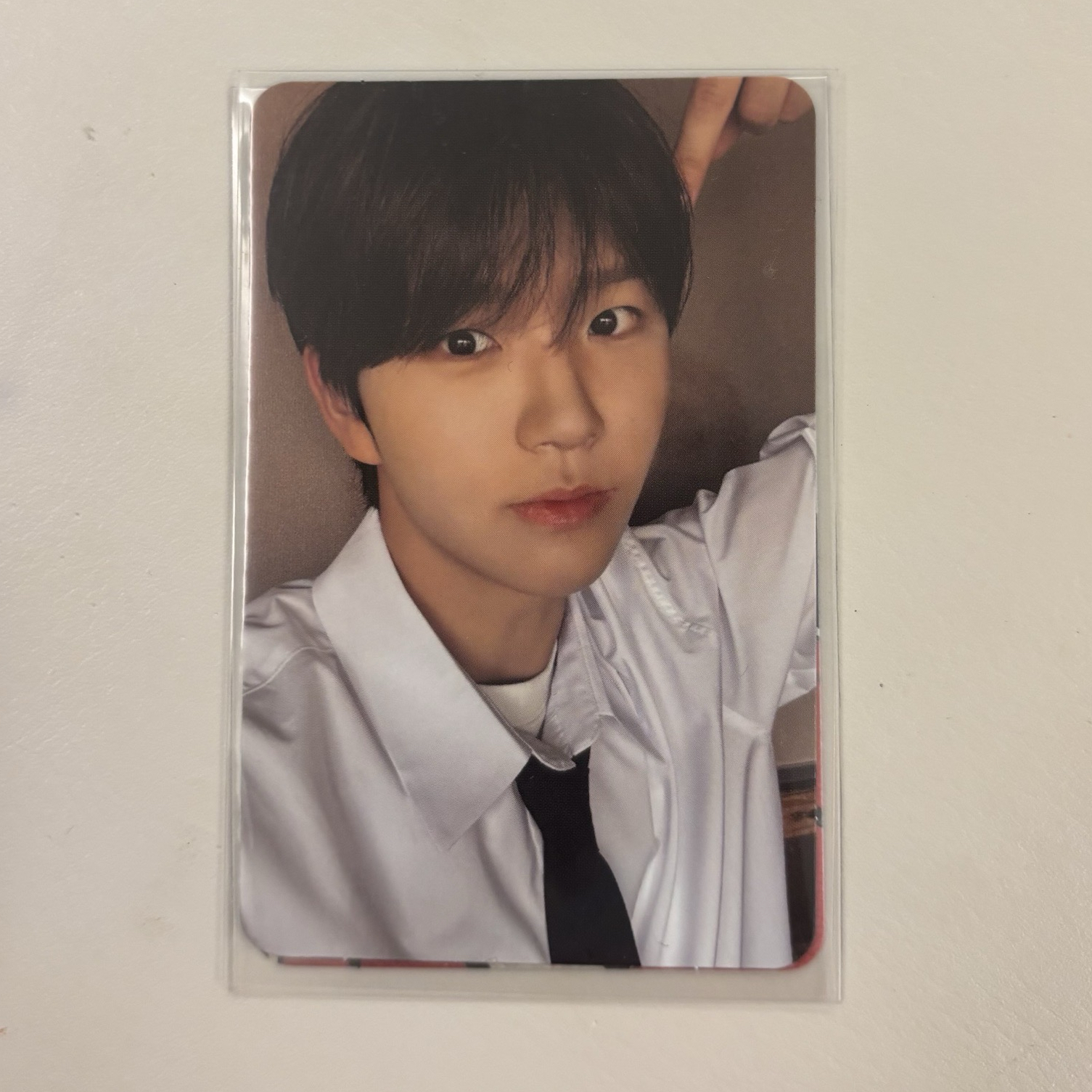 🌟steady k版 專卡