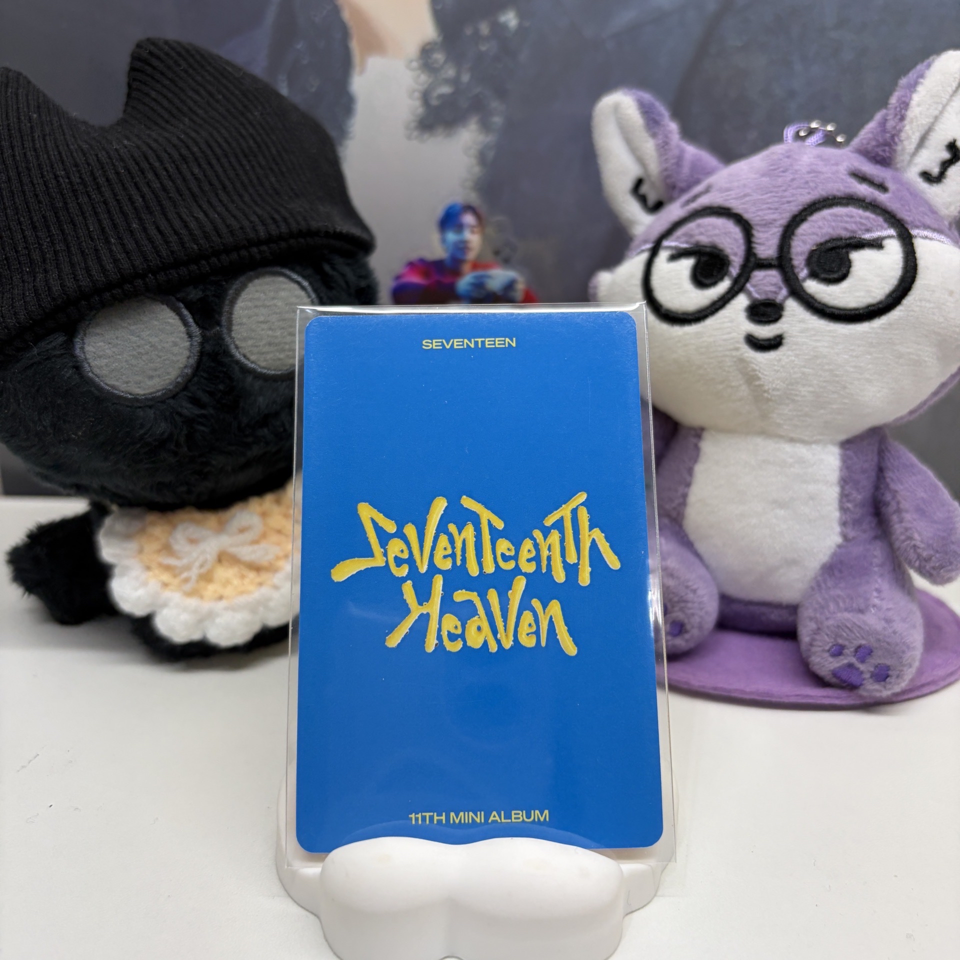 🐻‍❄️瀚率VERNON｜MINI11｜專輯卡 ｜CARAT ver.｜雨衣率