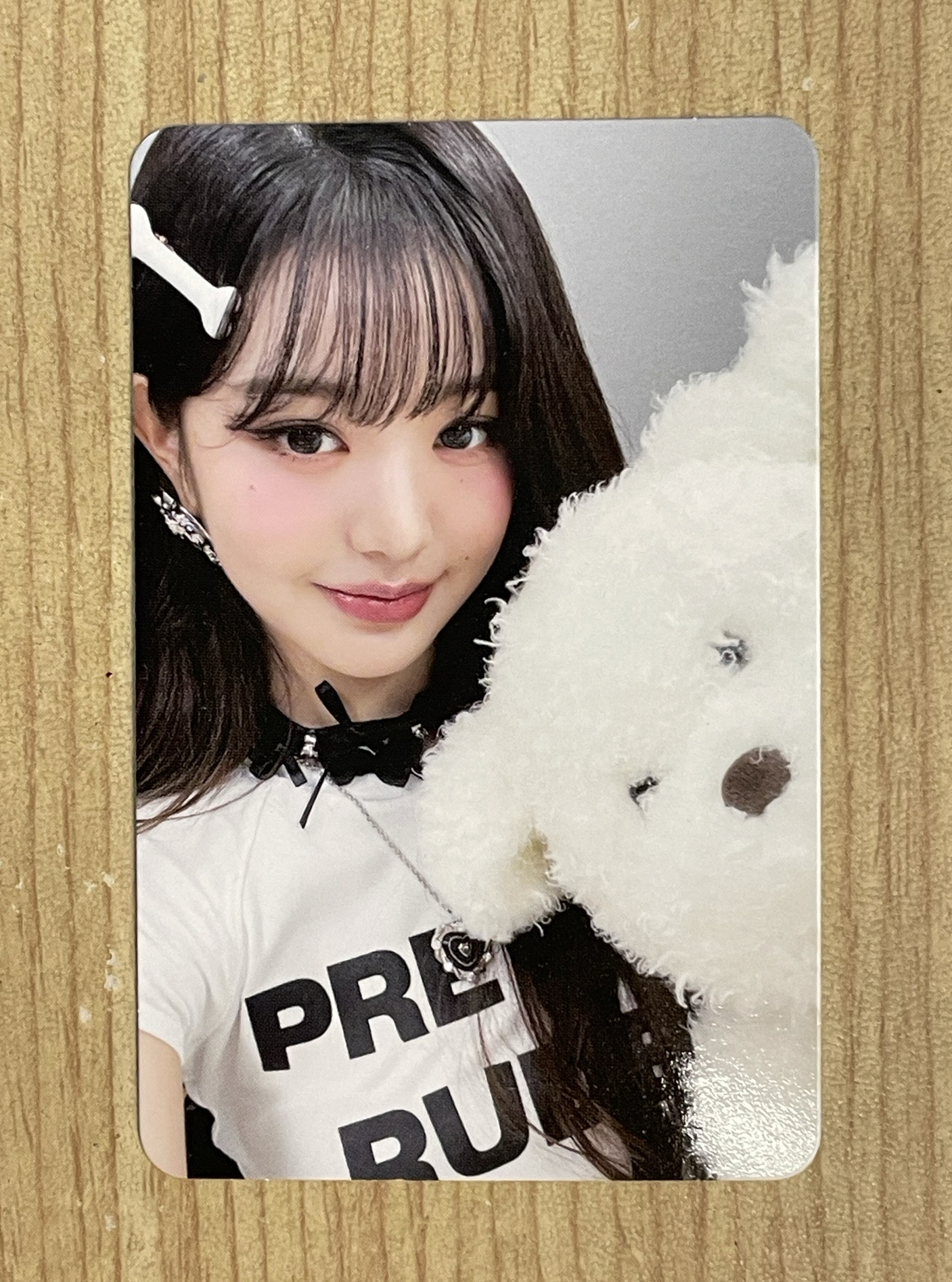 SECRET HL1.0 狗狗員