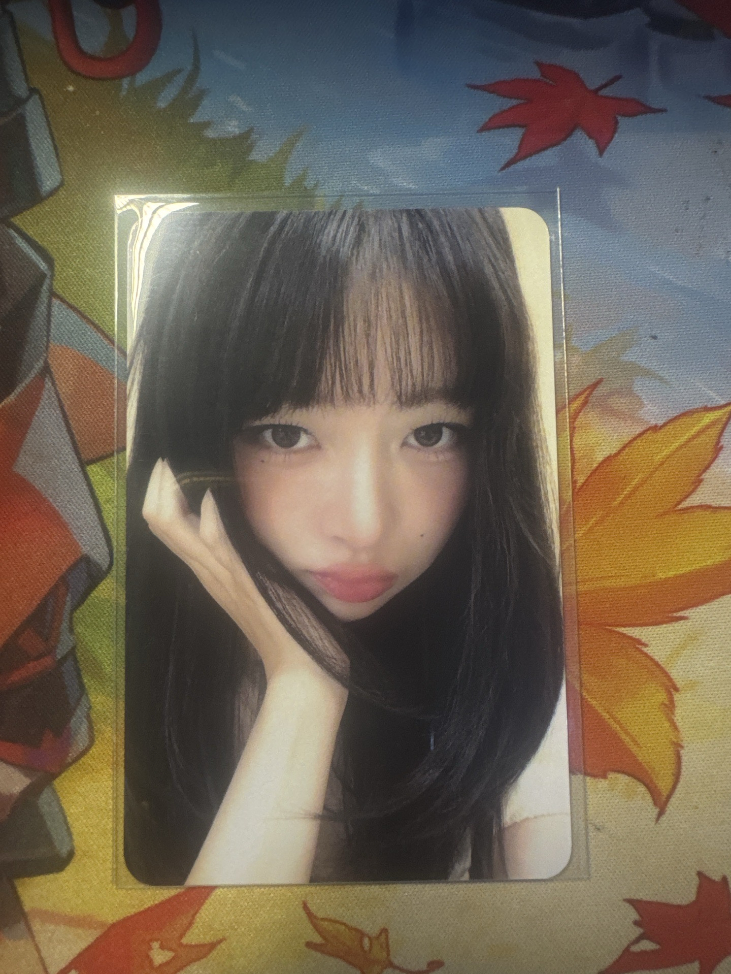 IVE EMPATHY ms 4.0 簽售卡 上海簽售