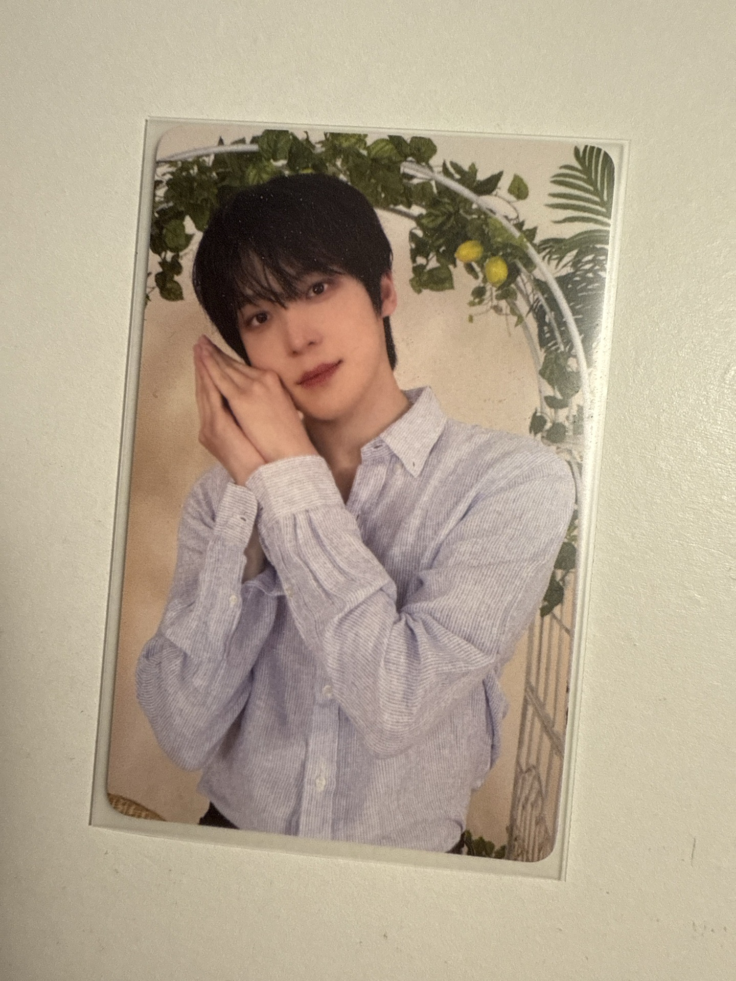 MIGHTEEZ 滿額卡 五萬 潤