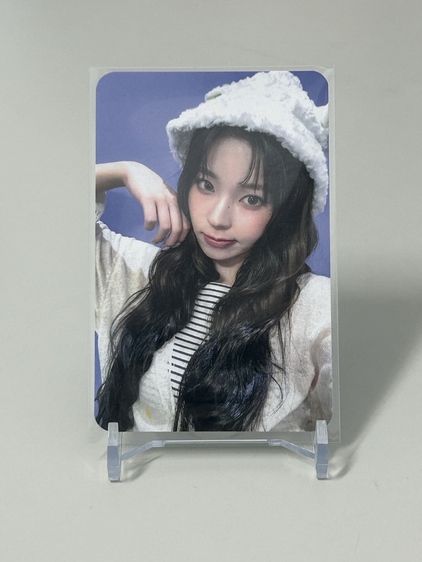 小羊圭（中背）