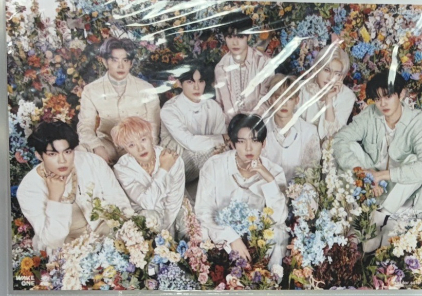 ZB1 日專 ゆらゆら -運命の花- 特典明信片