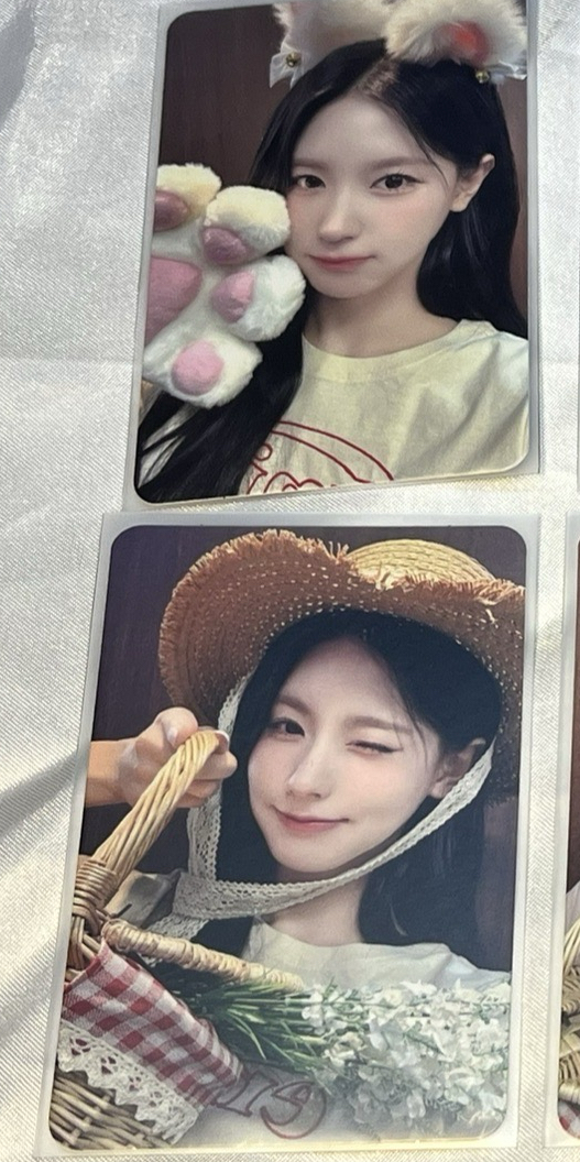 Ms16野餐/貓爪+fate