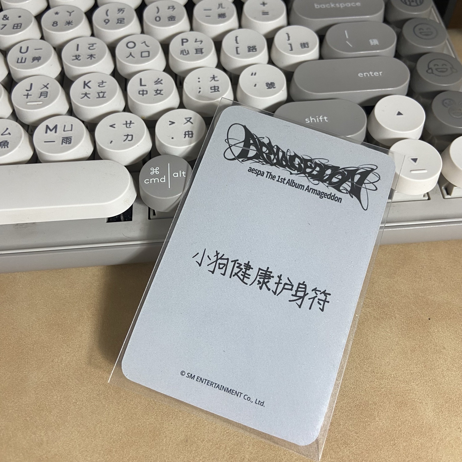 aespa armageddon sr星河特典冬 中背 小狗健康護身符