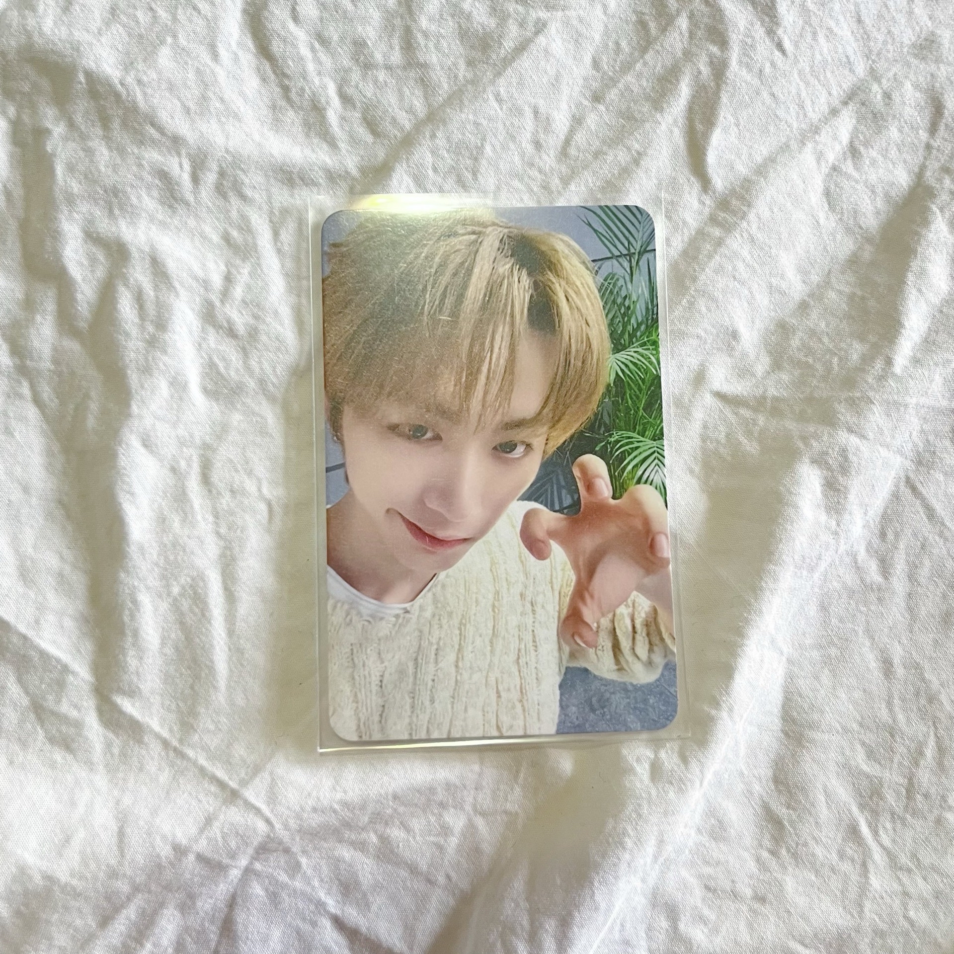 No Genre muvve1.0 泰山