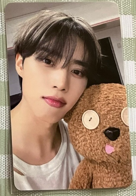 善旴抱熊簽售卡