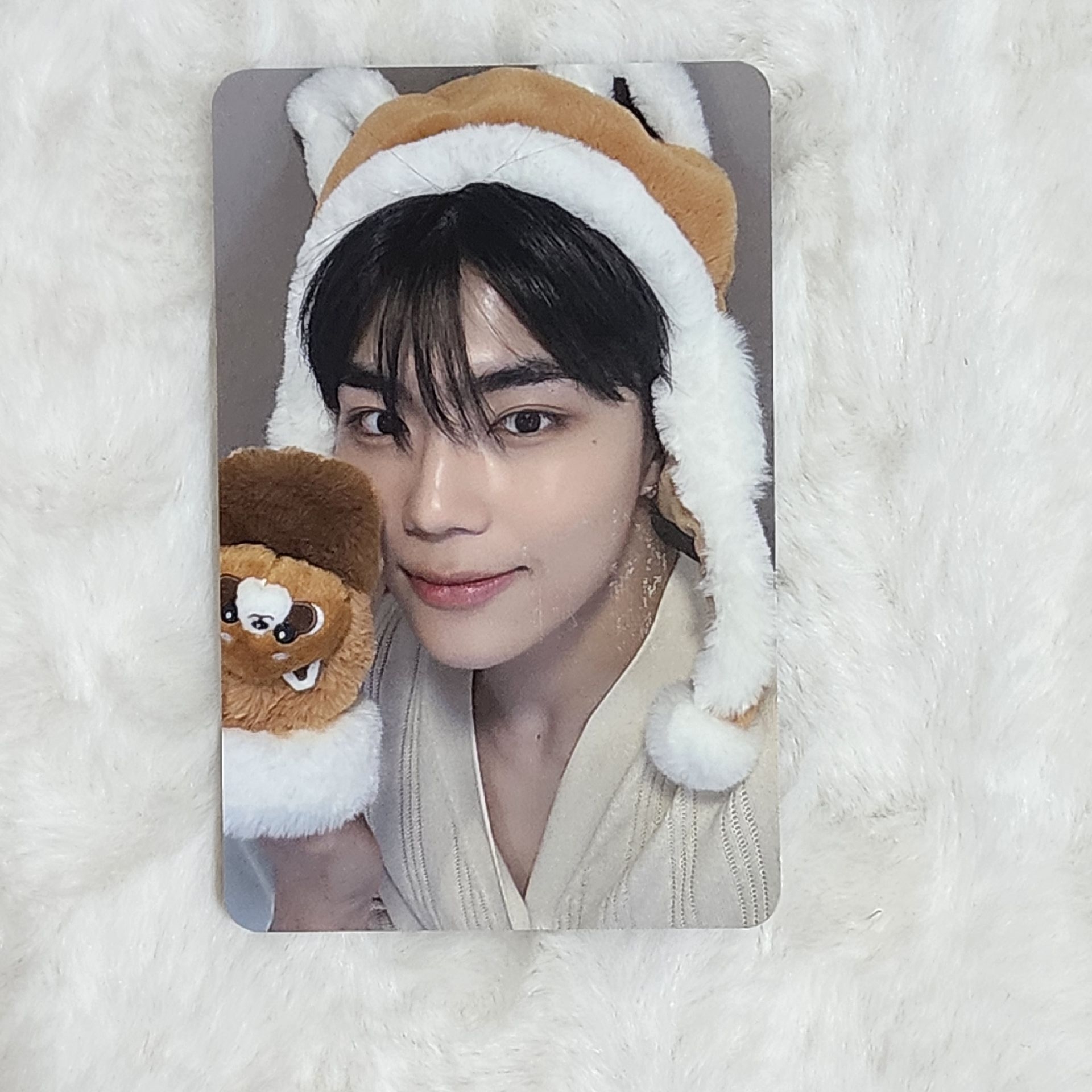 迷三 k4 特典卡 小熊貓 ver. - 乾旭