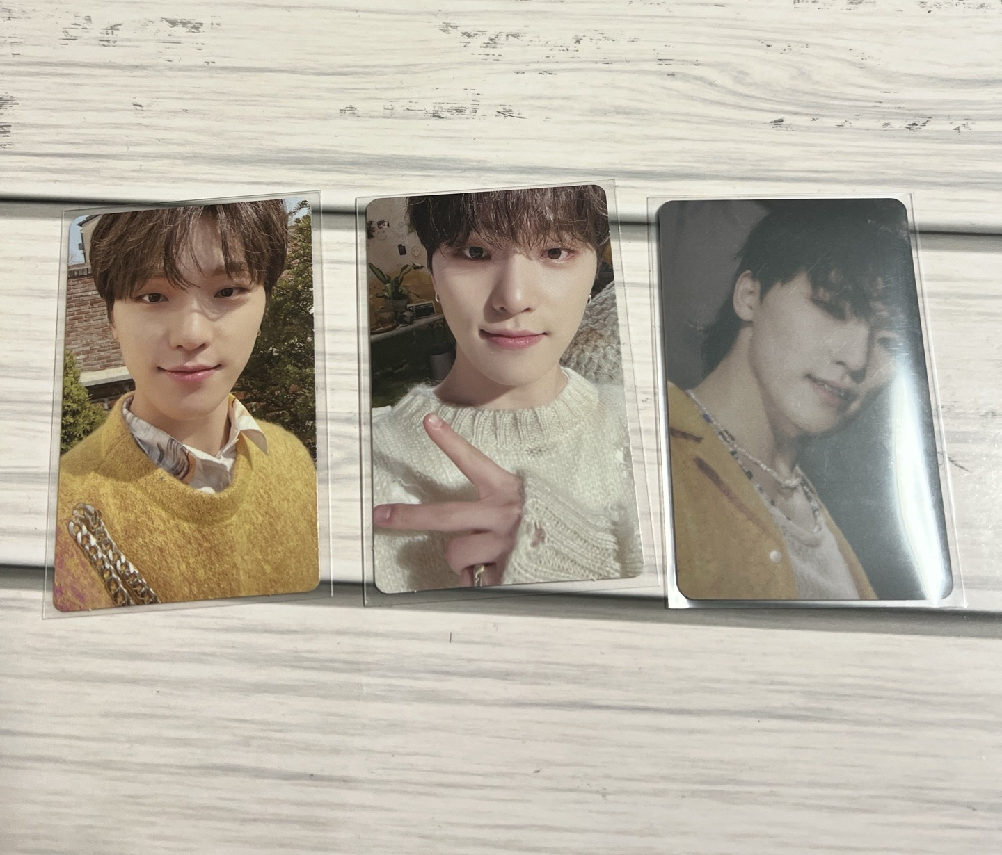 正四 wvs專 燦（已掃）