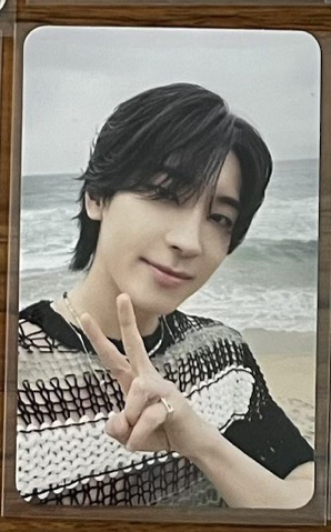 迷12 電子專（僅一張）