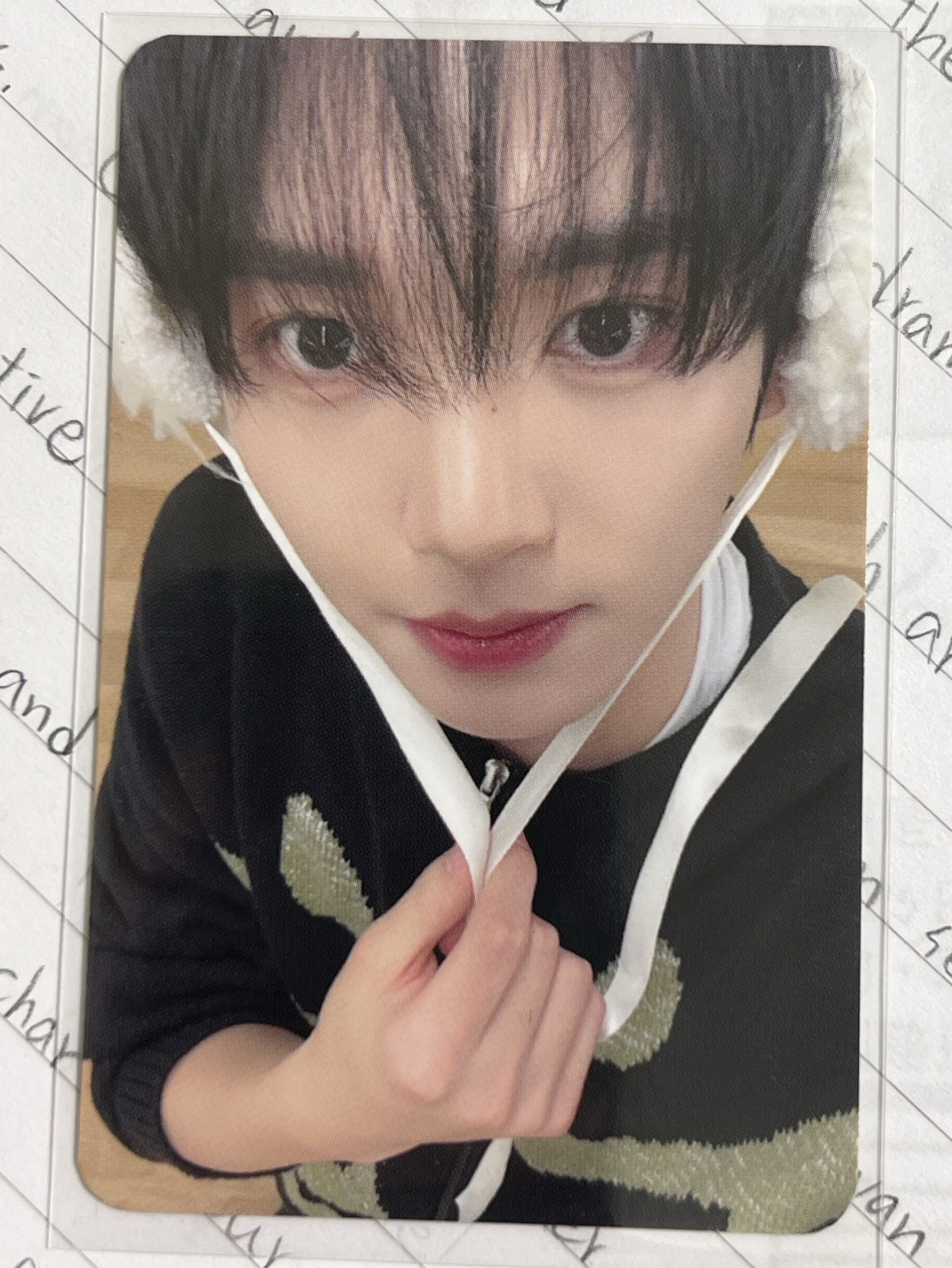 韓維辰 迷五ms小狗