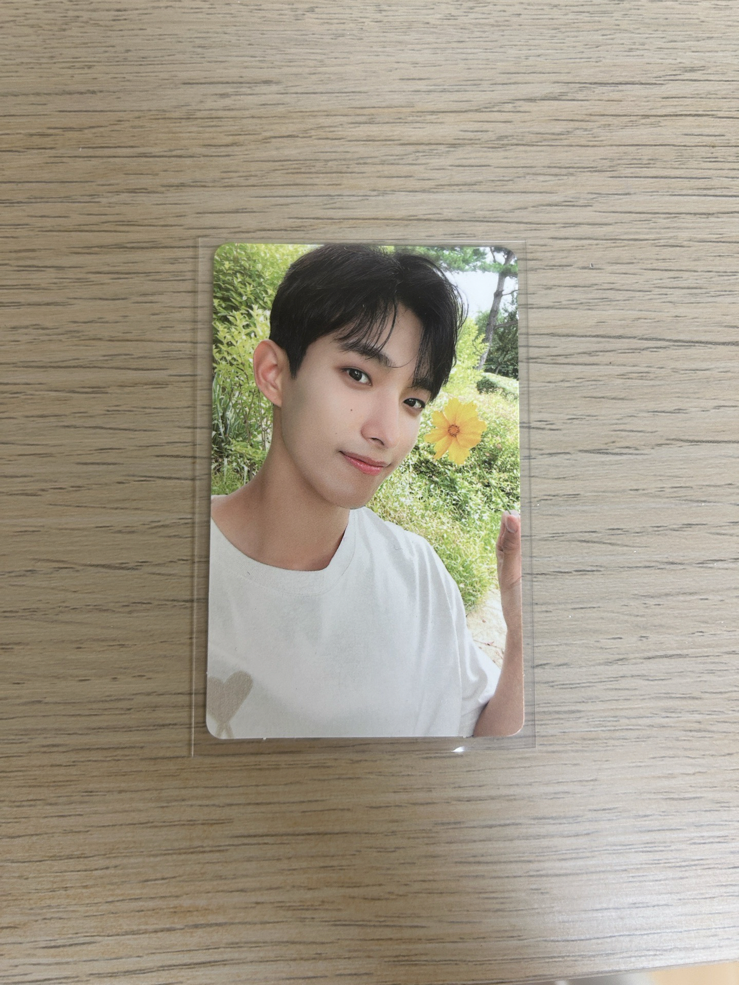 social club 李碩珉 小卡