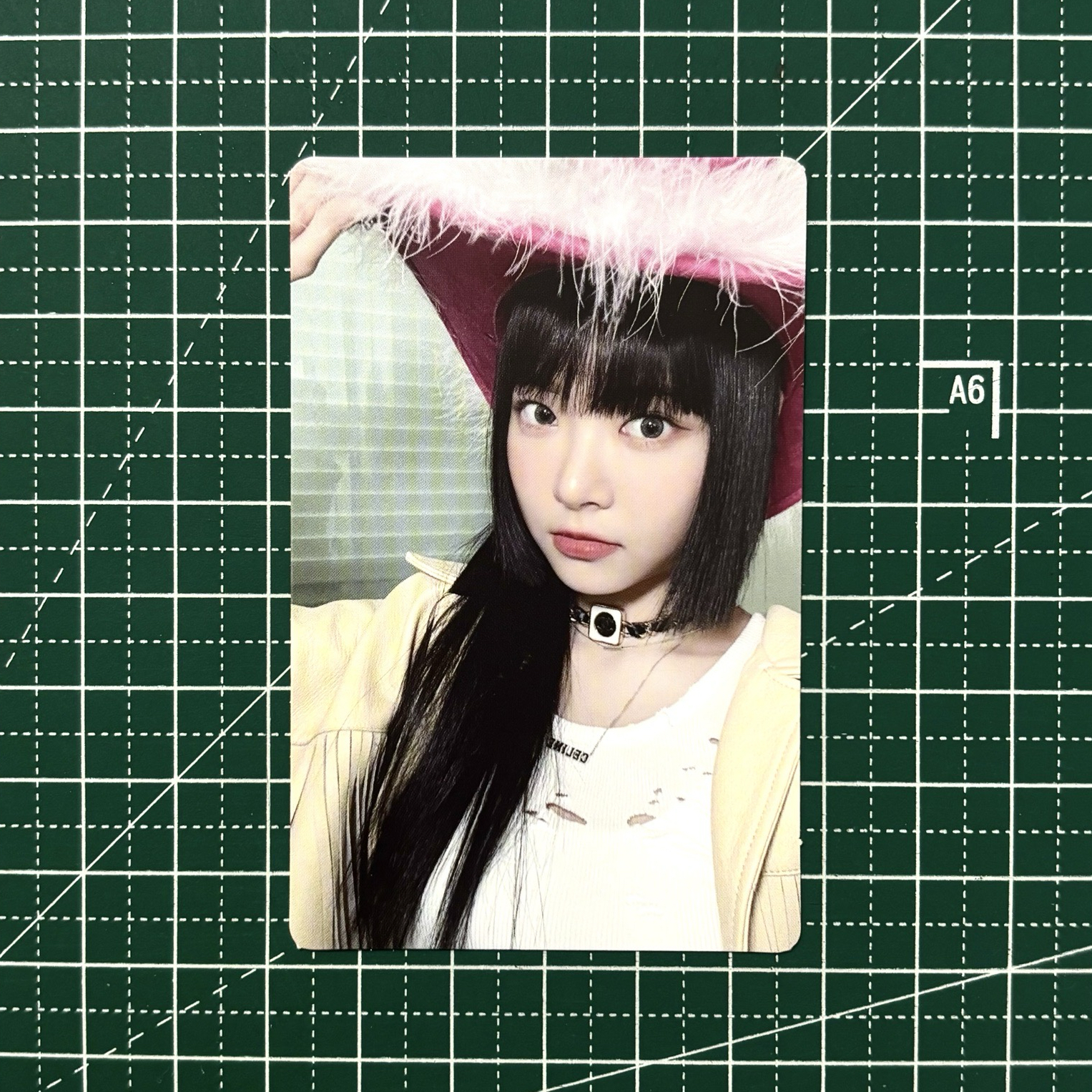 𓊆 均一價 50 元恩卡𓊇