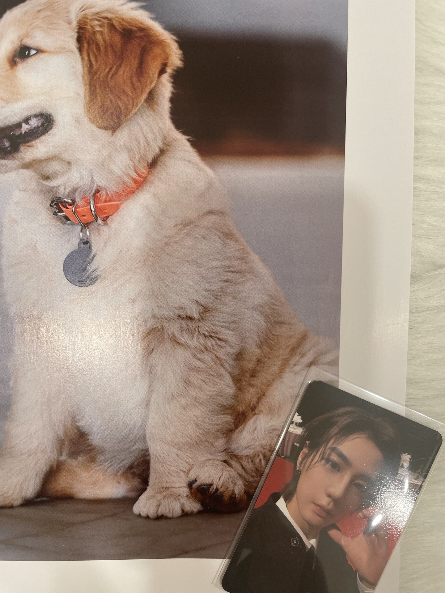 【BND】🐠sc逆應援 入場卡