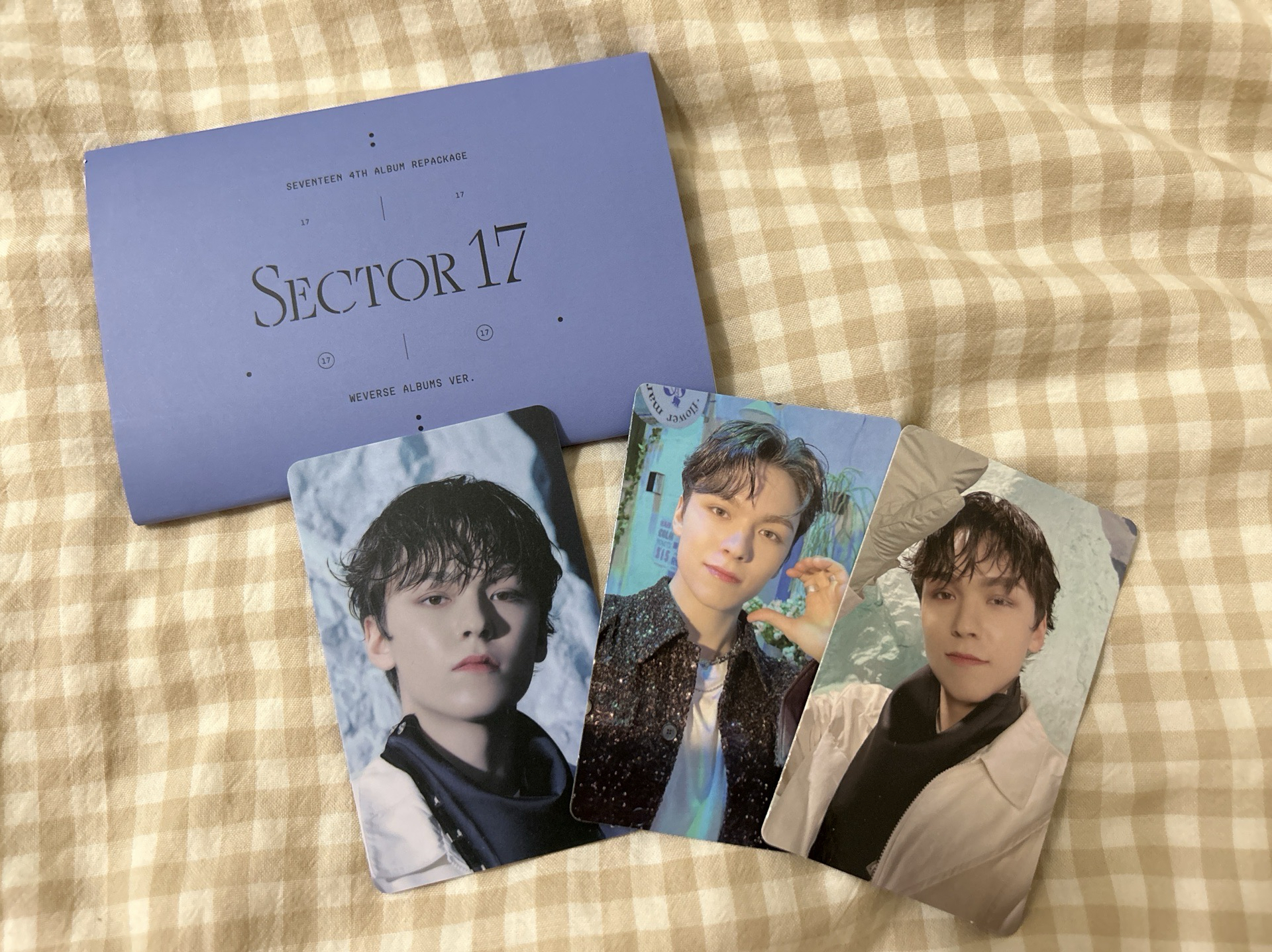 SEVENTEEN SECTOR 17 電子專 率