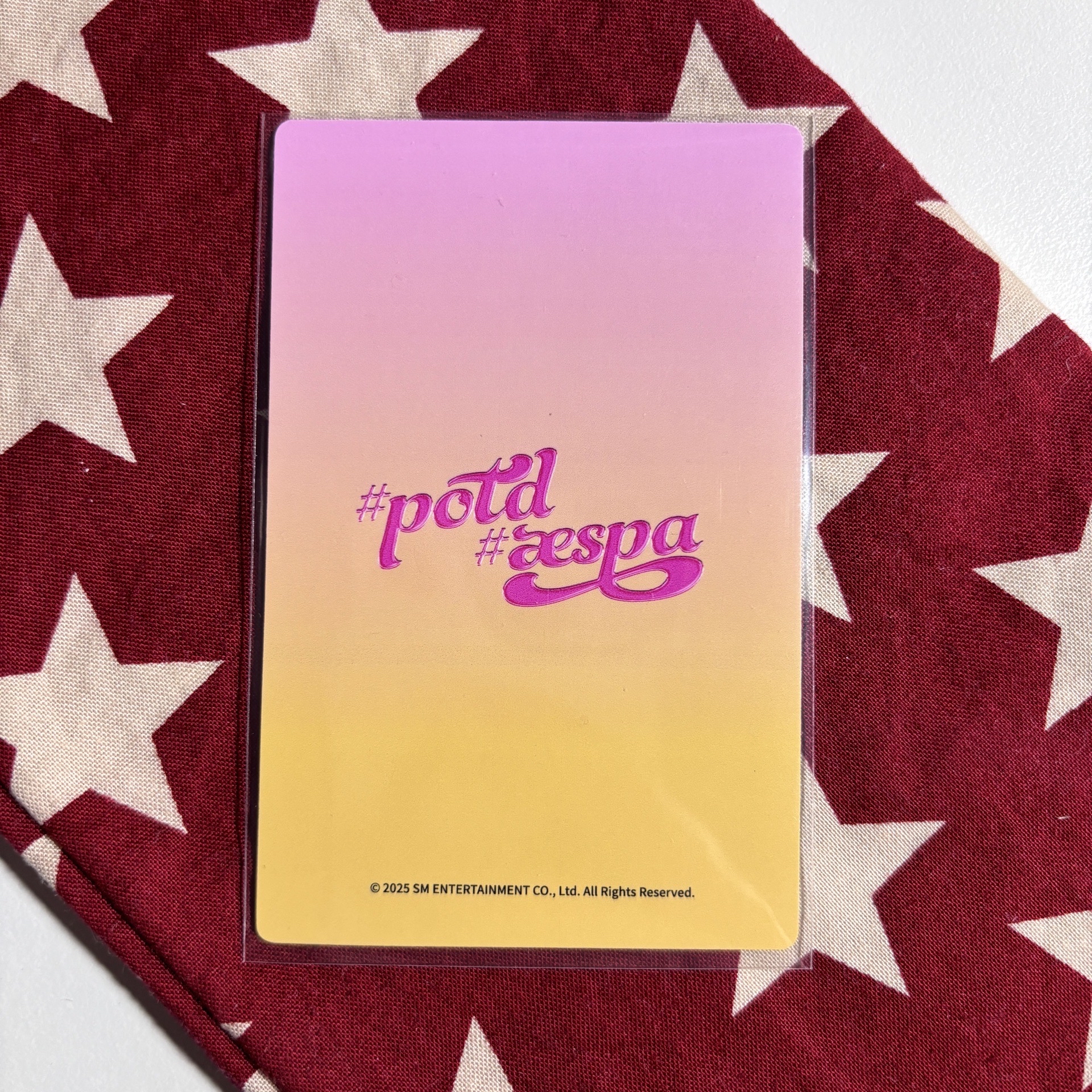potd展會 入場卡 冬 ⋆.˚⊹⁺