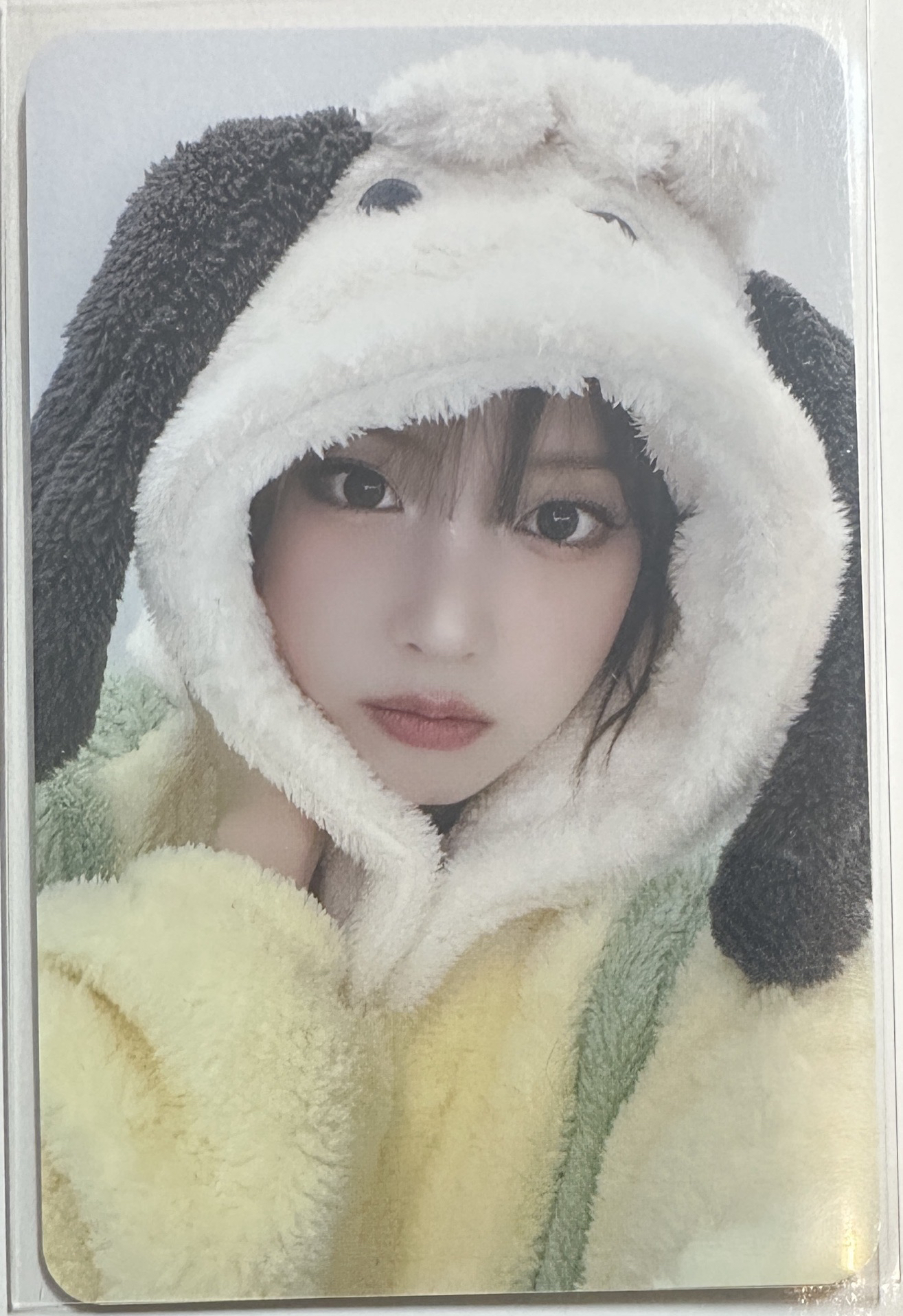 ⭐️動物睡衣友