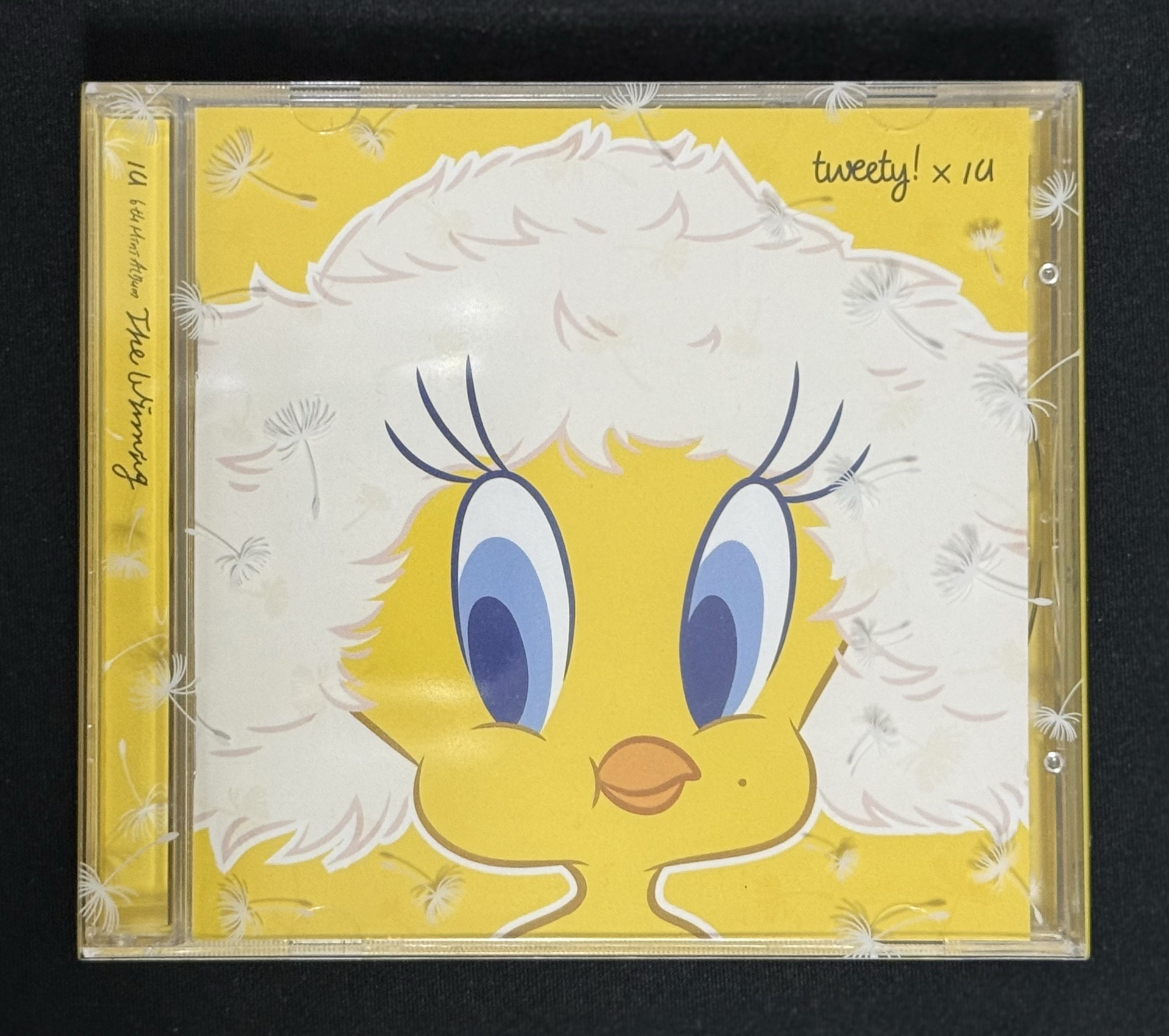 IU THE WINNING SPECIAL VER.專輯 特別版