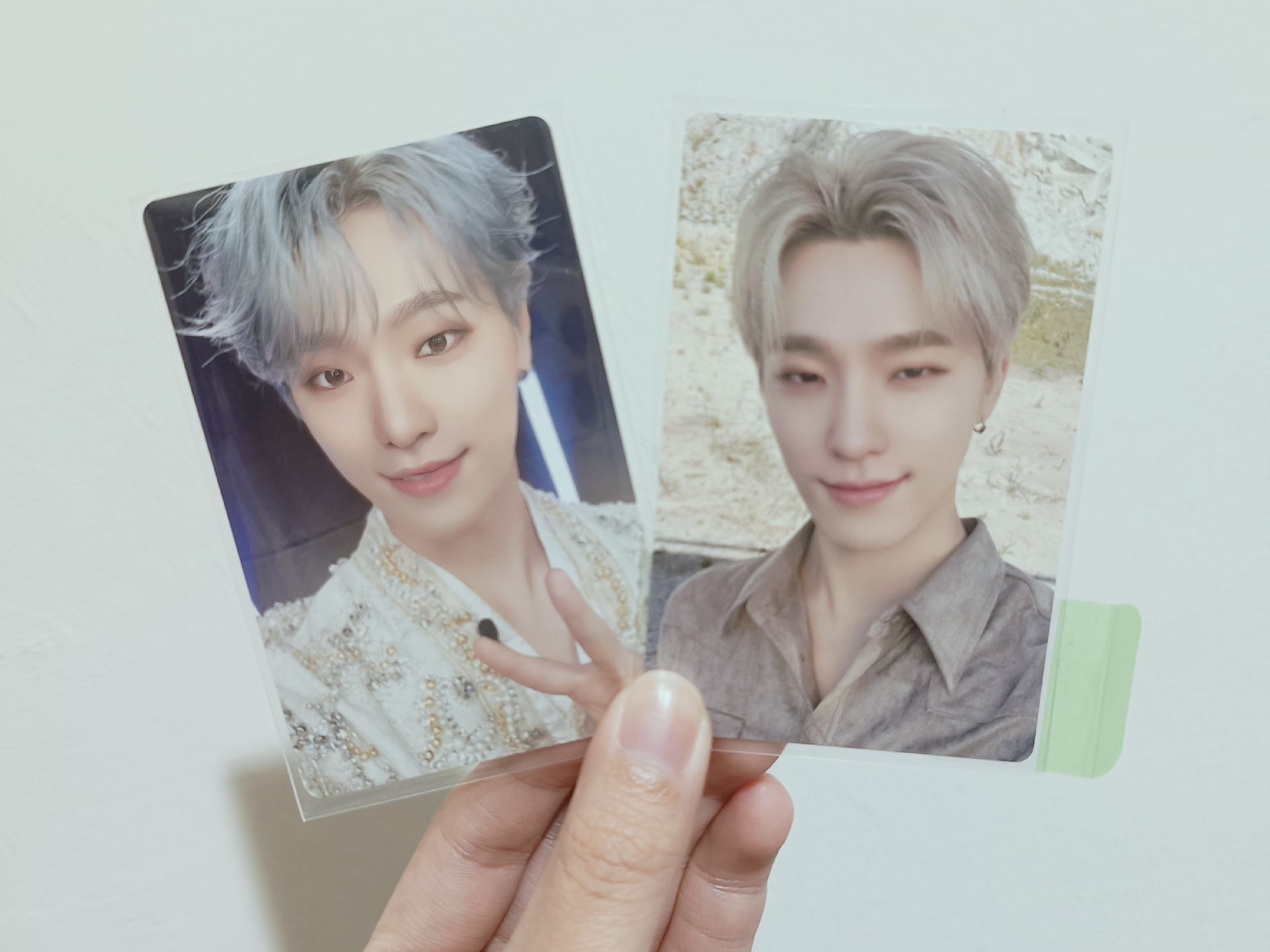 Dino Follow 演唱會卡