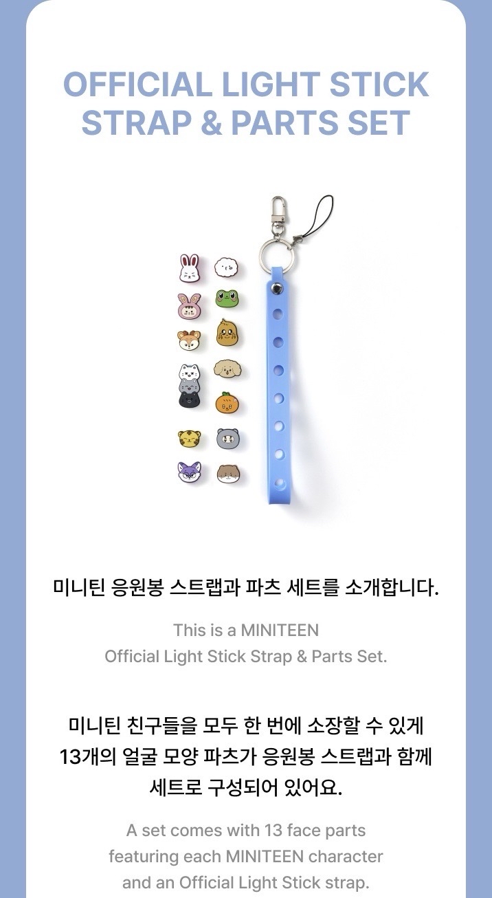 Official Light Stick Strap & Parts Set