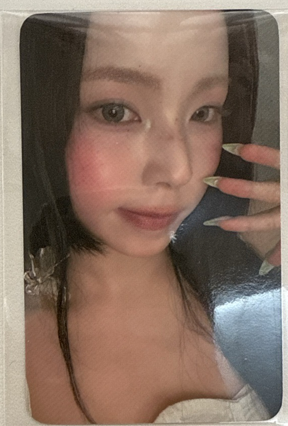 正規一 fans 預售 特典卡 圭