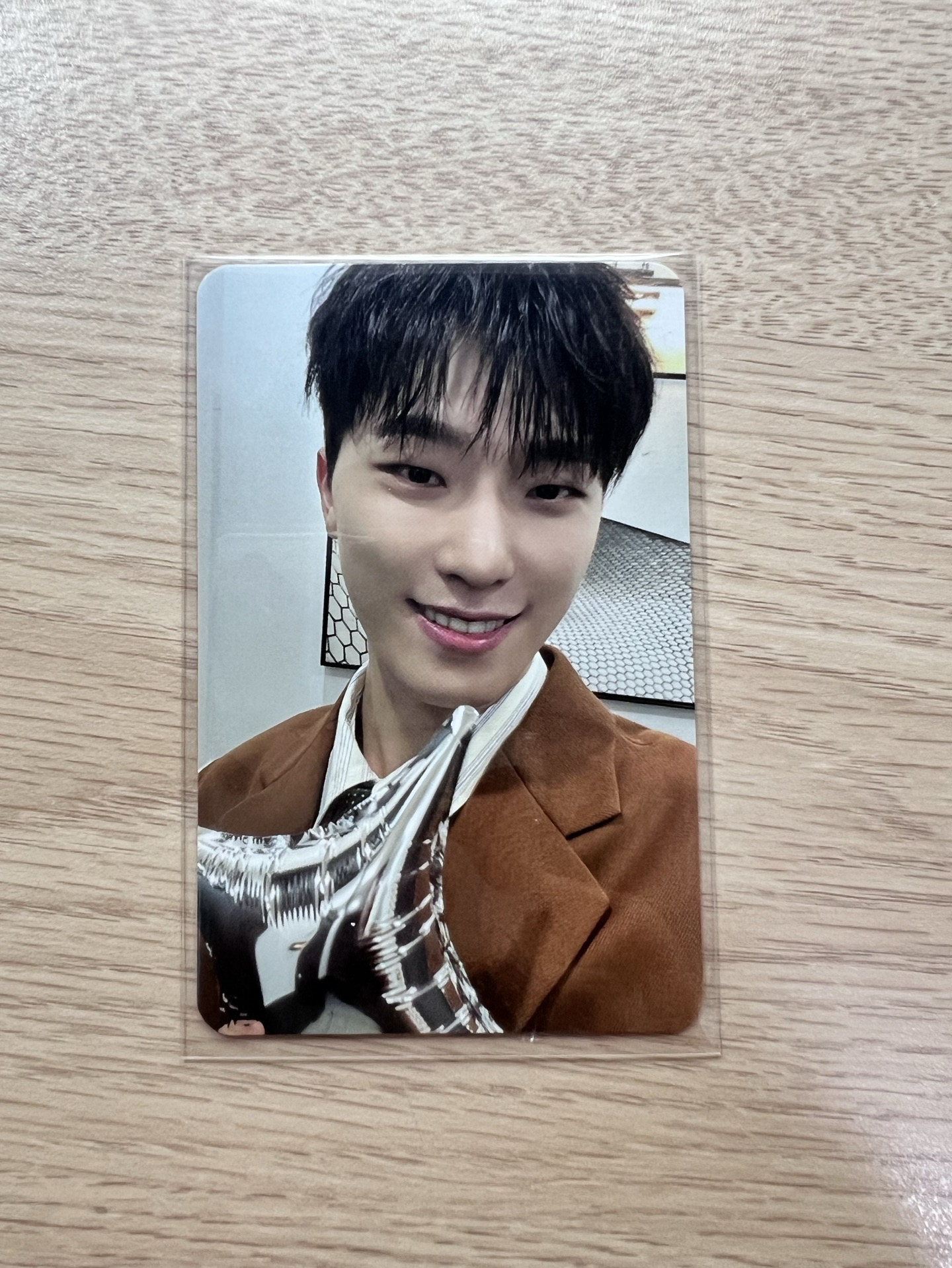 DINO迷12克拉盤隨機小卡