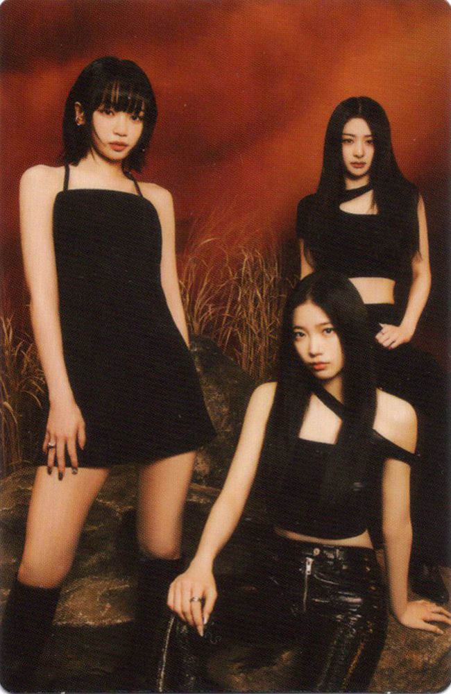 彩允葉-紅橘背景