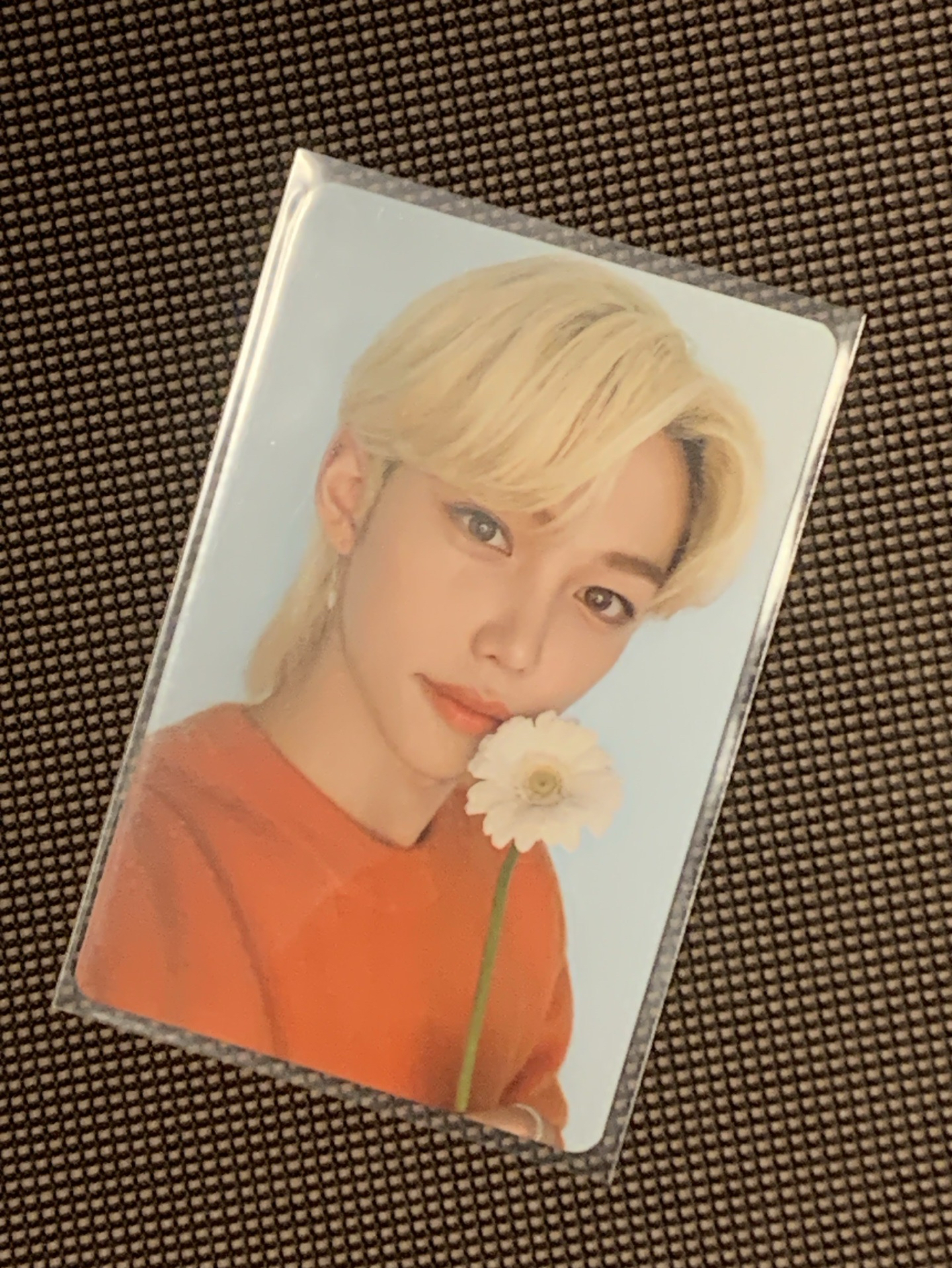 felix nacific 10.0雙面卡