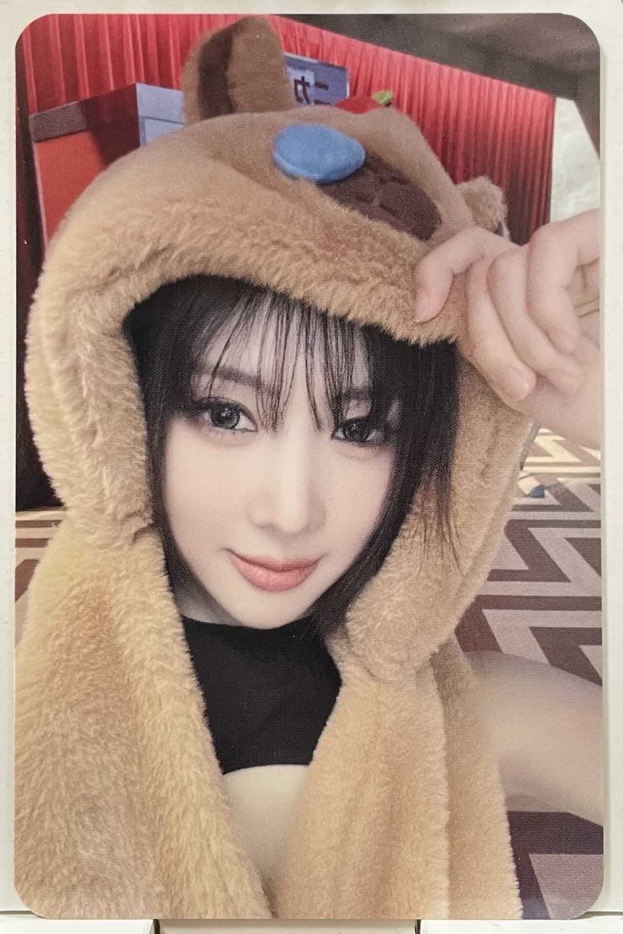 #Playlist MS卡皮巴拉-Yoohyeon