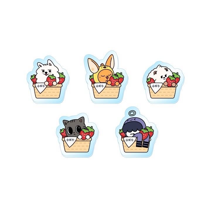 TXT 日巡徽章 角巴兔 全新未拆