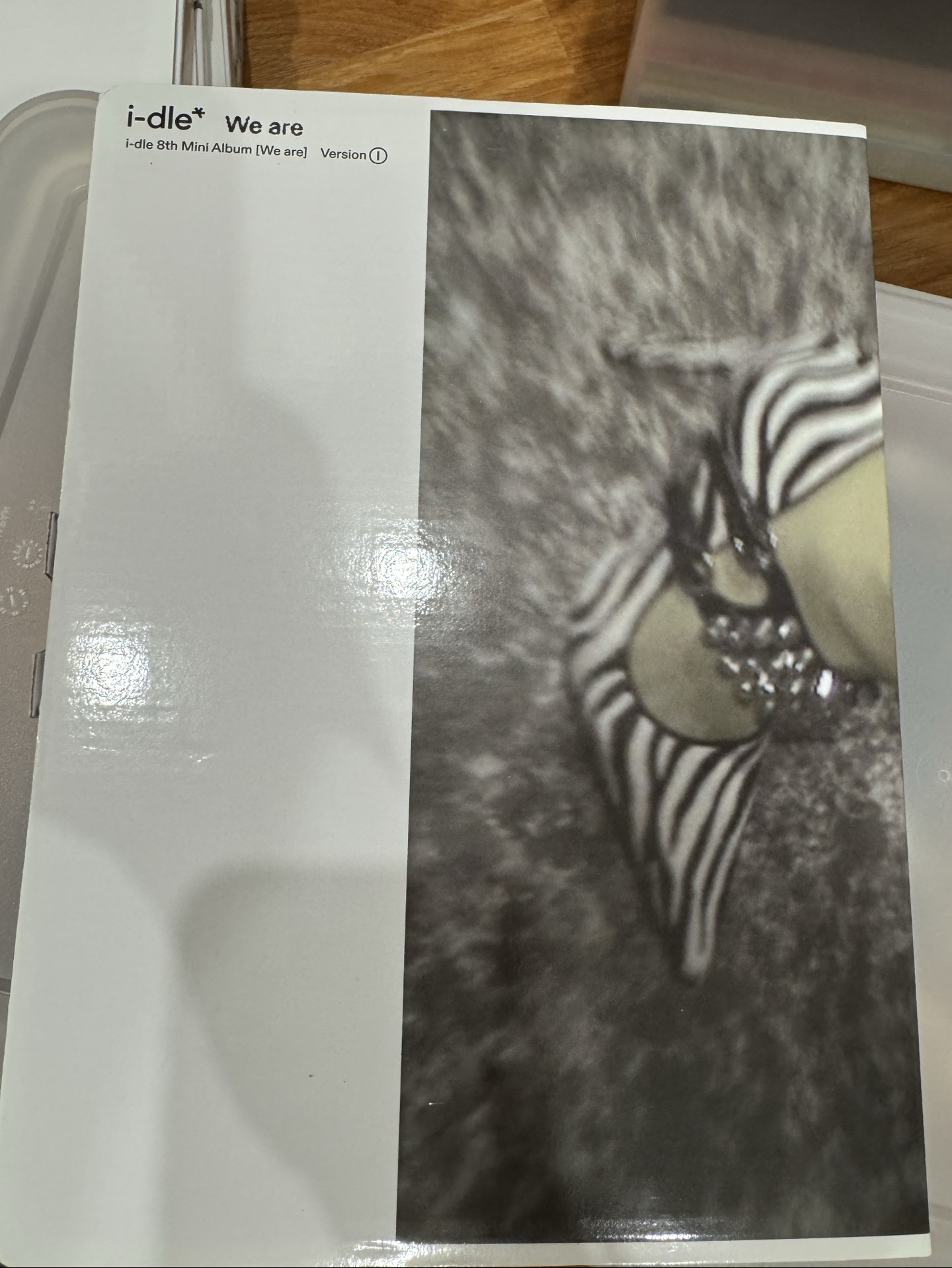 we are 空專（高跟鞋封面）