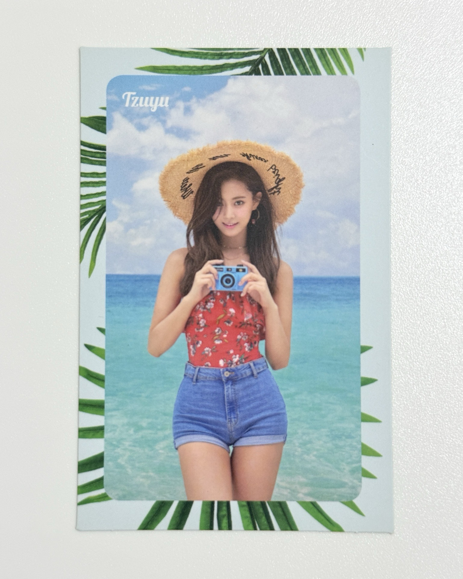 TWICE｜子瑜｜Summer Nights