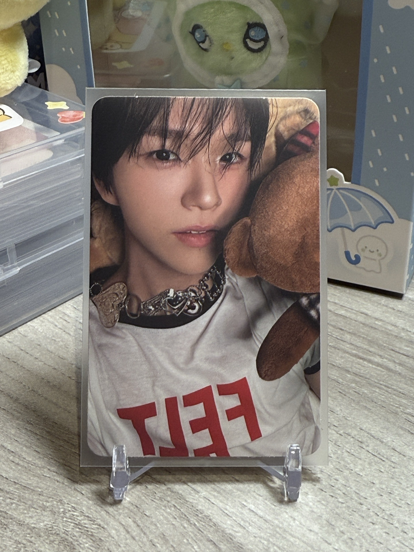 NCT WISH STEADY紅版小樹🌳