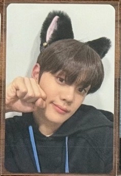 金奎彬 喵喵喵 我是可愛的小貓咪