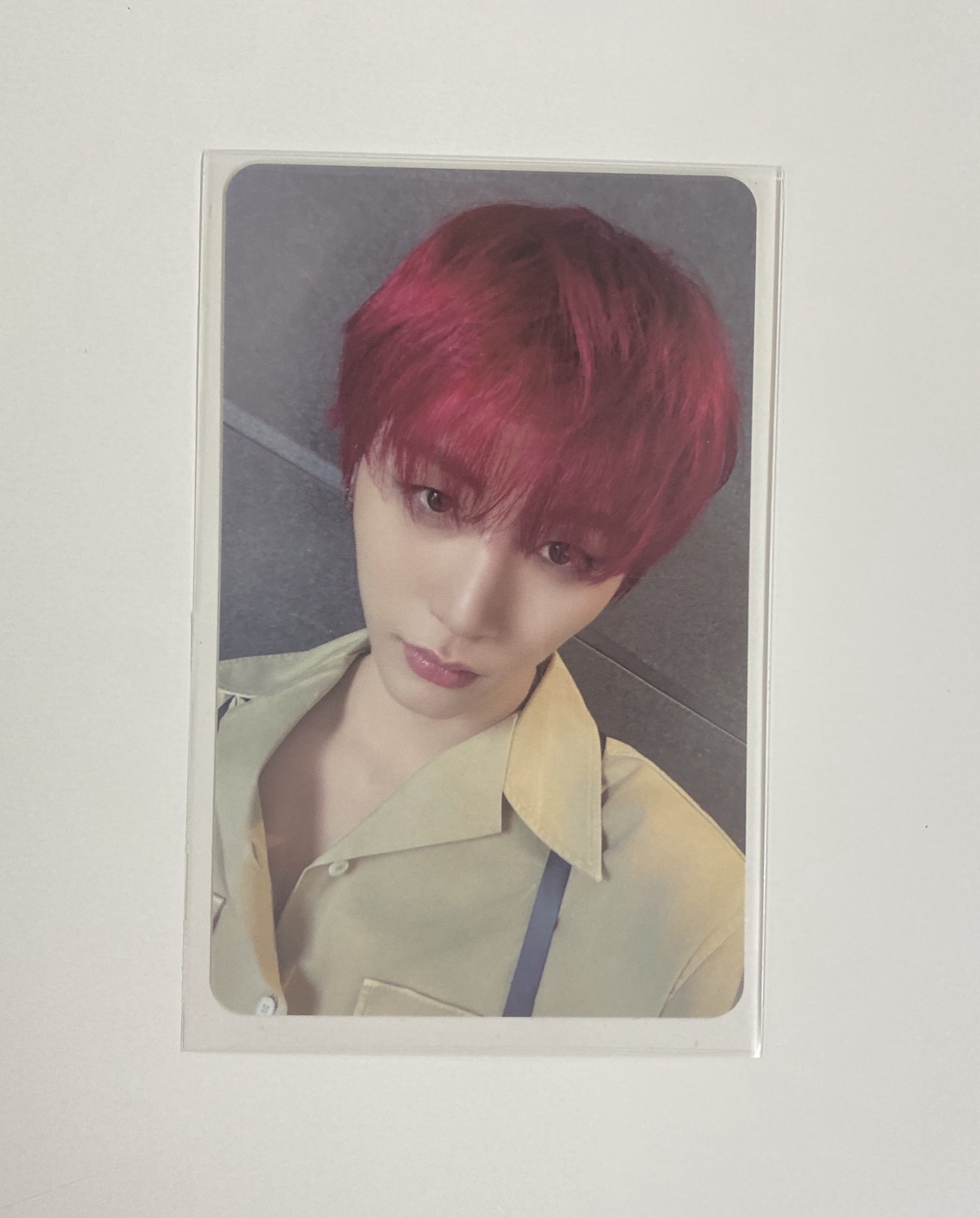 Taesan No Genre wf 特別禮 特典卡