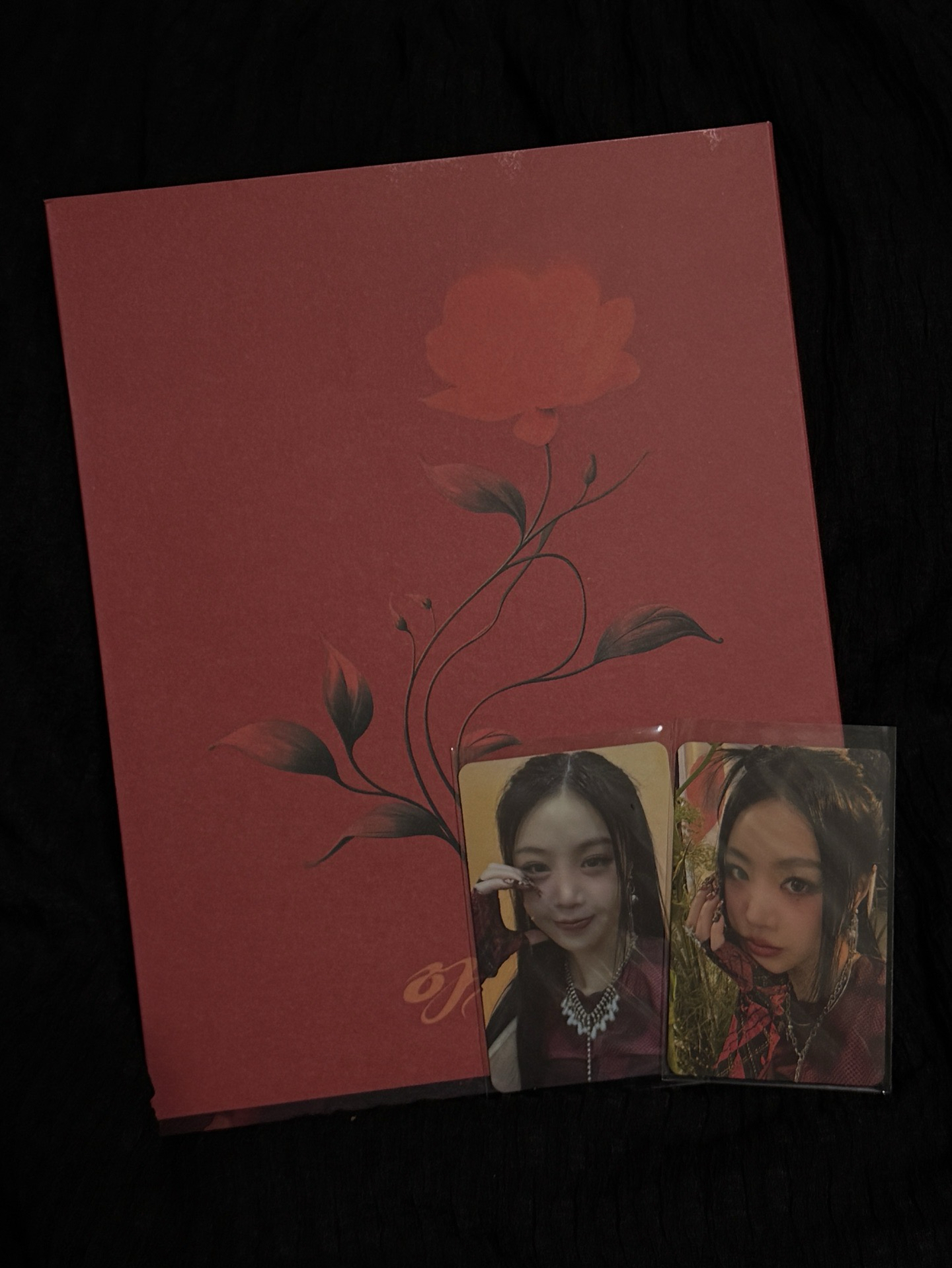 穗珍 迷一AGASSY（紅版）