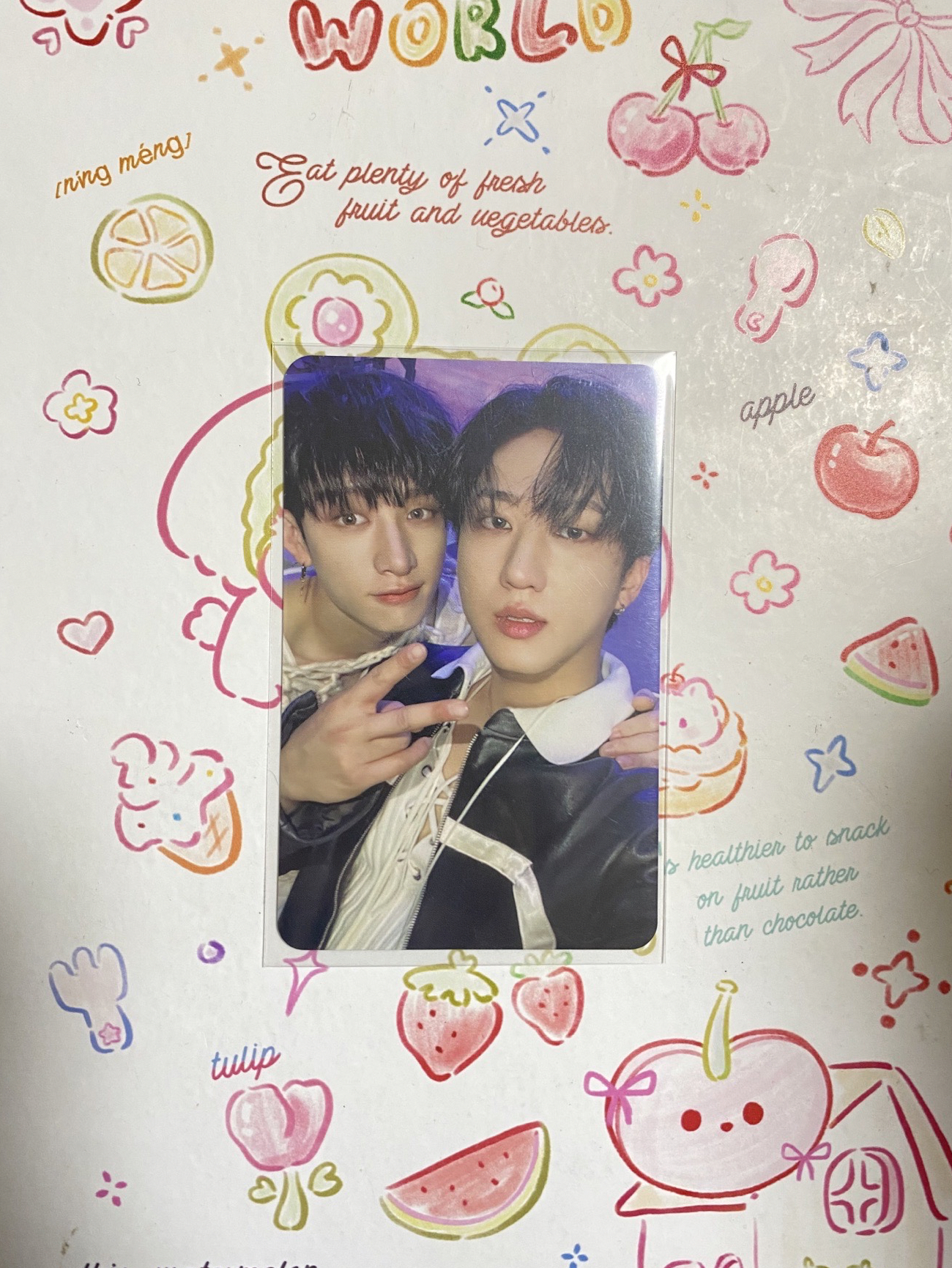 StrayKids 燦彬CP卡