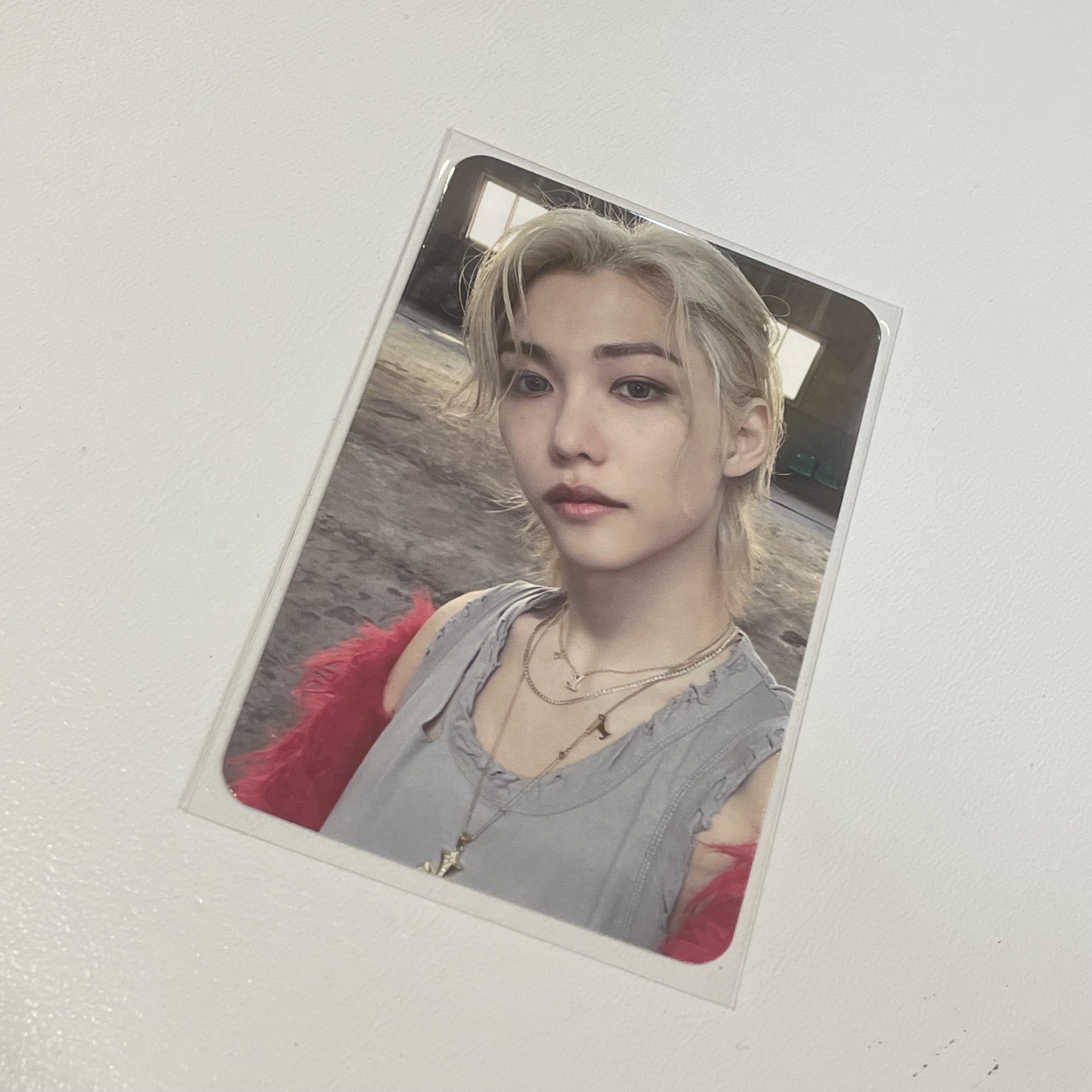 五星楠藝菲 火雞菲