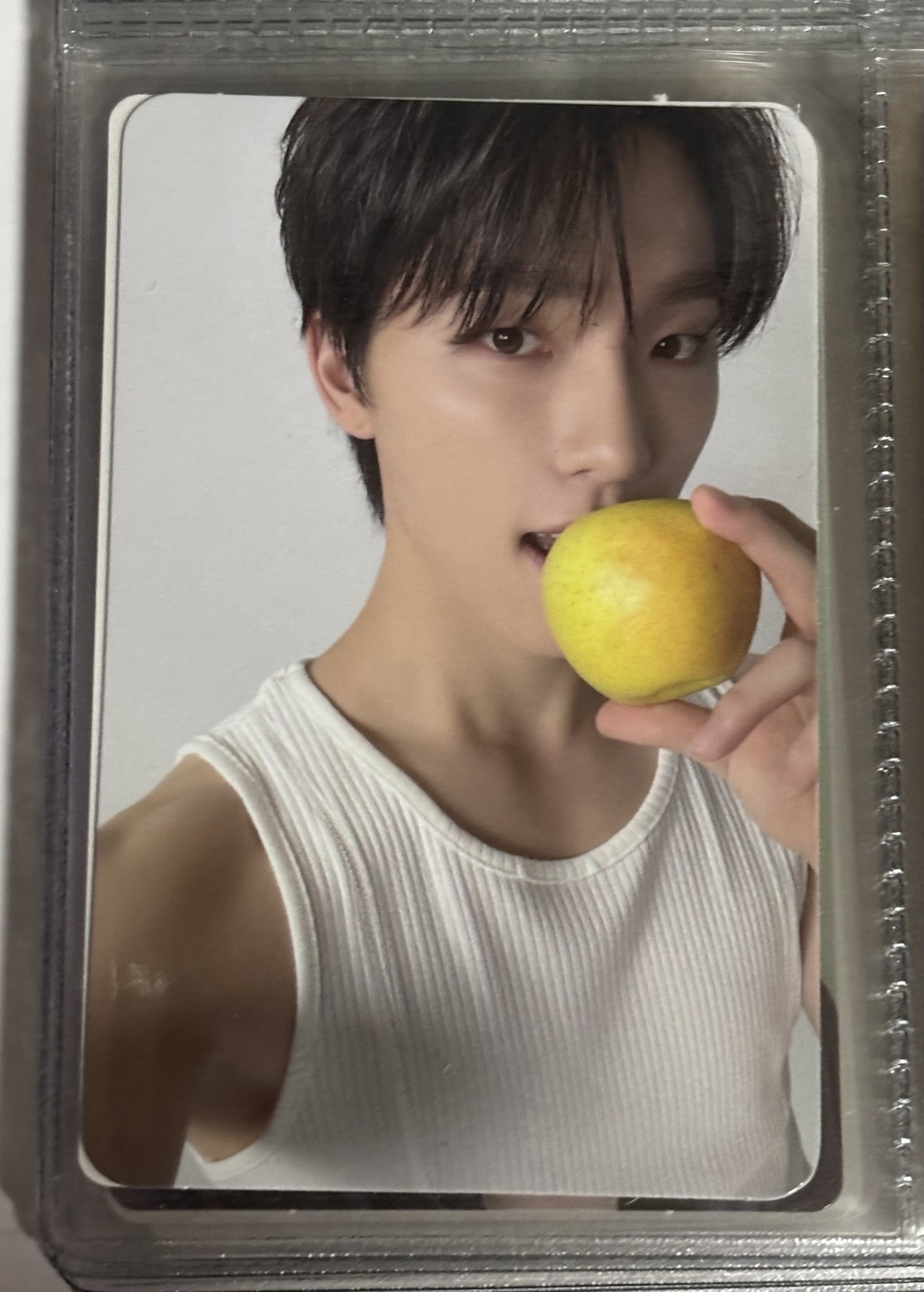 Dino李燦-17 IS RIGHT HERE