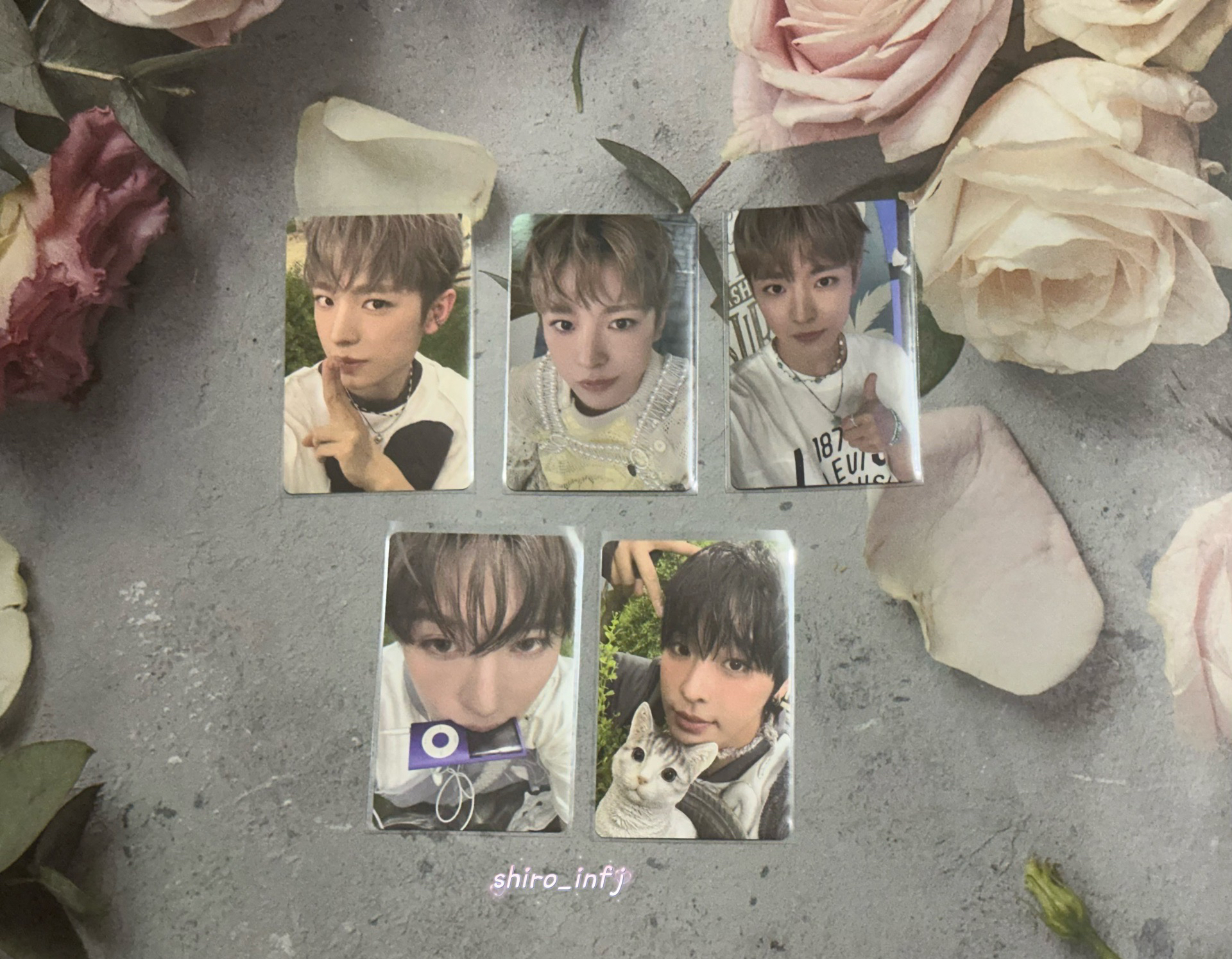 NCT WISH 韓專卡 ⋆ 特典卡｜Yushi ｜Riku …