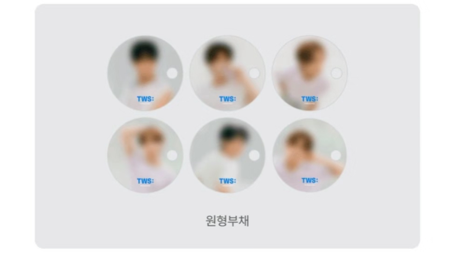 WVS電子專特典 圓扇