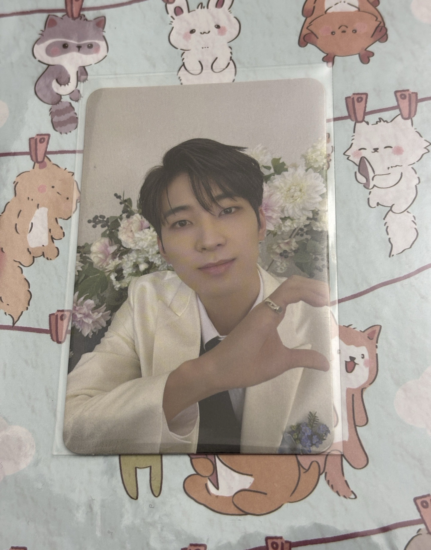 迷10 mini10 專卡 carat ver.