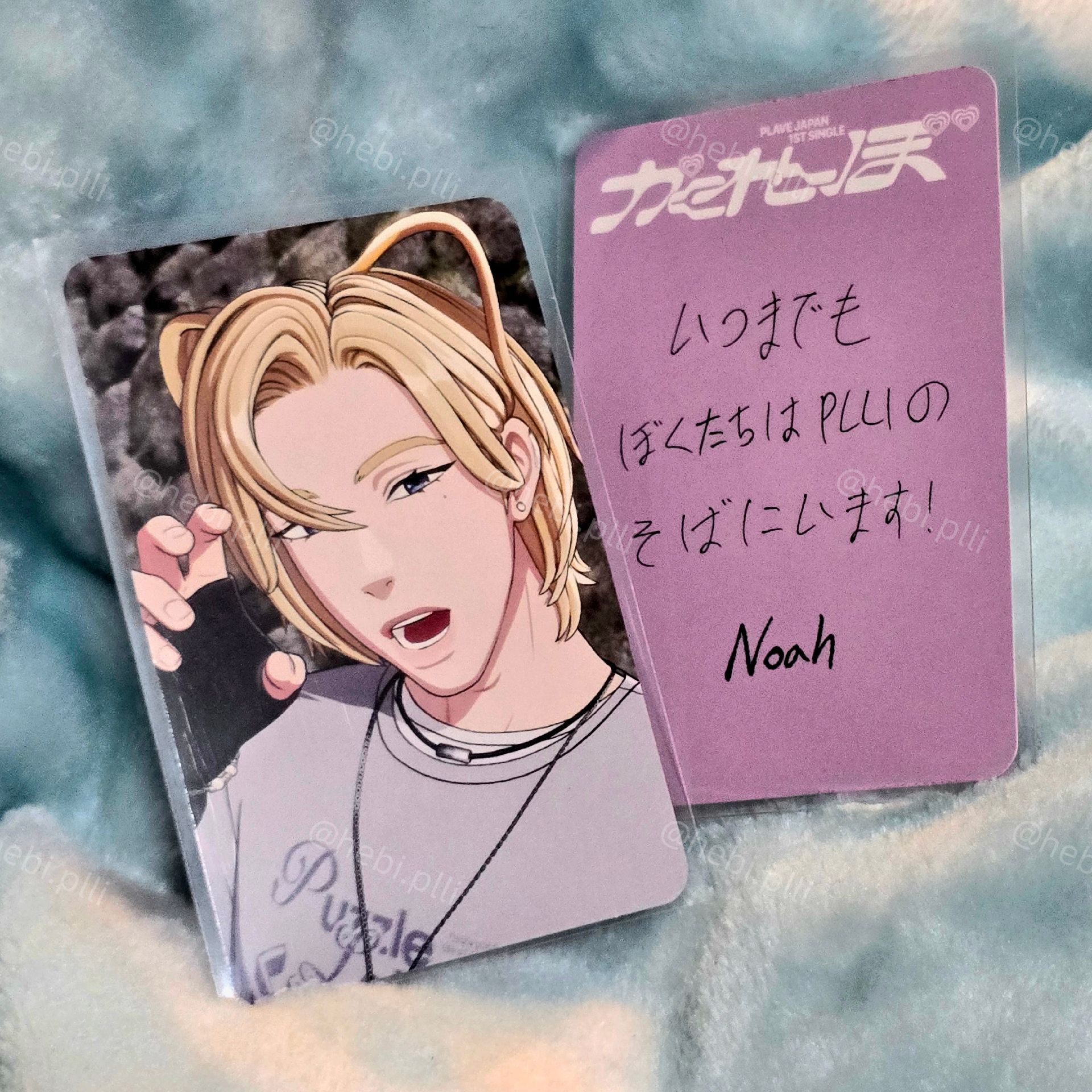 諾亞｜日專貓耳卡+證件照