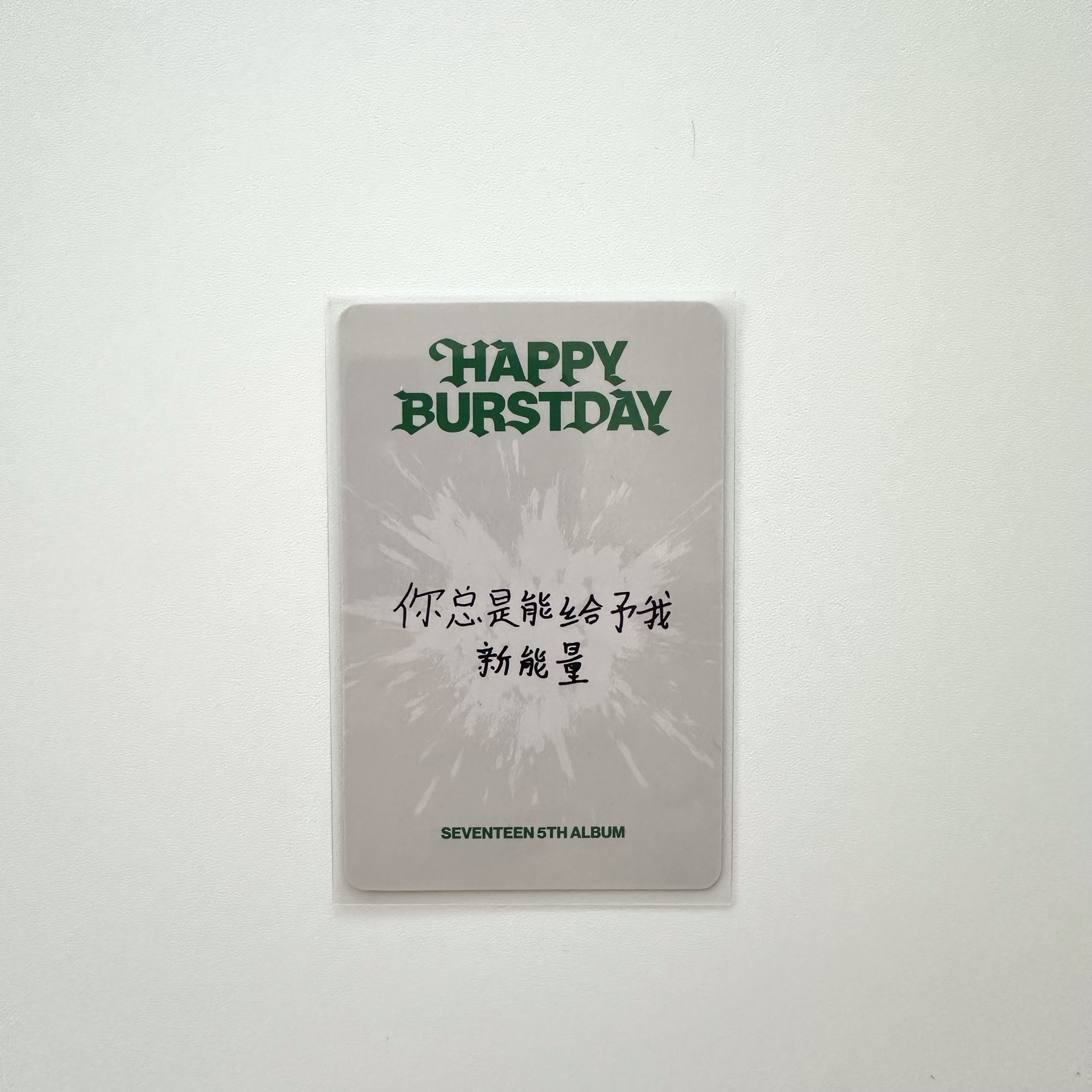 正規五中文卡背俊