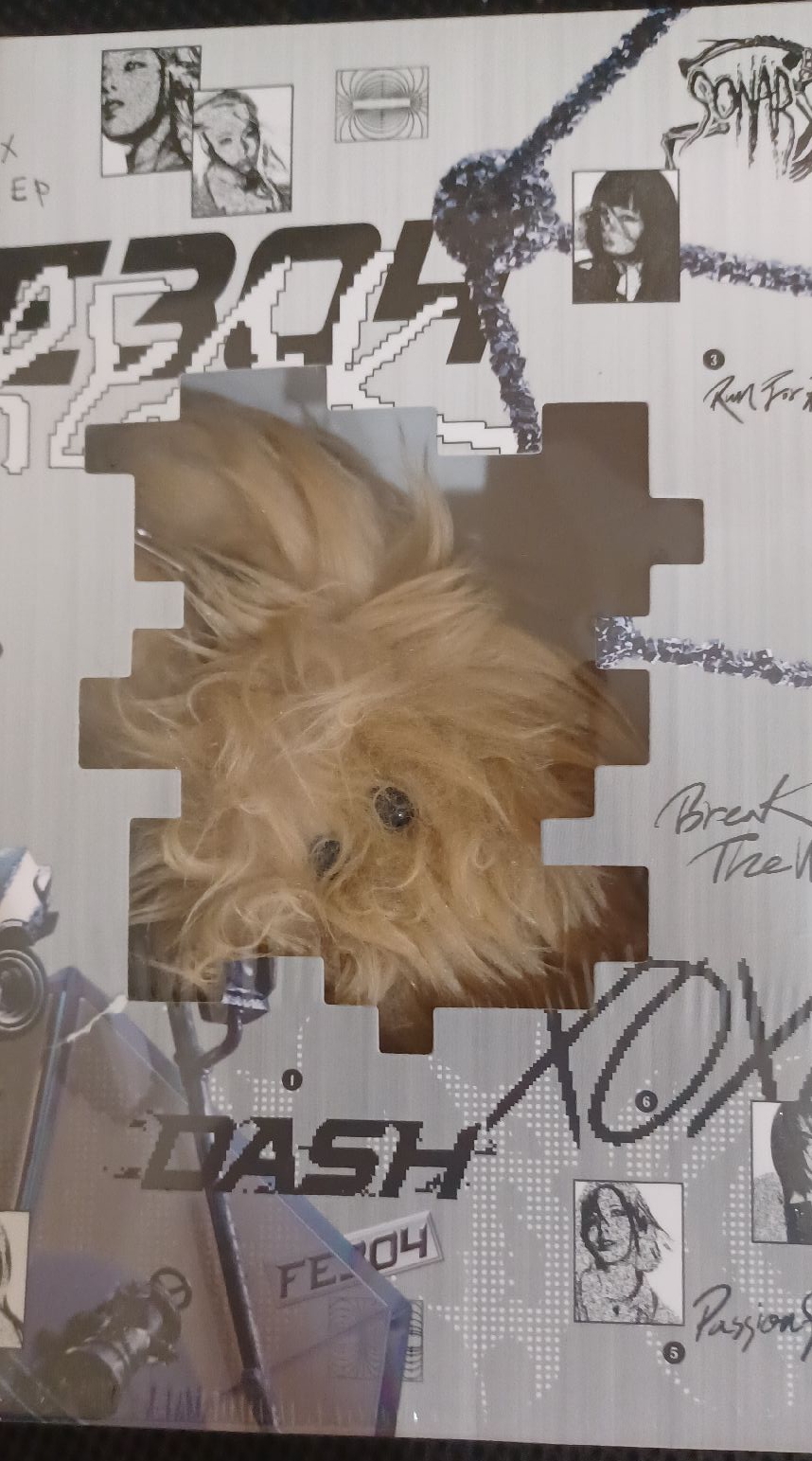 （限定下單）裴的全新未拆閃亮亮水母專