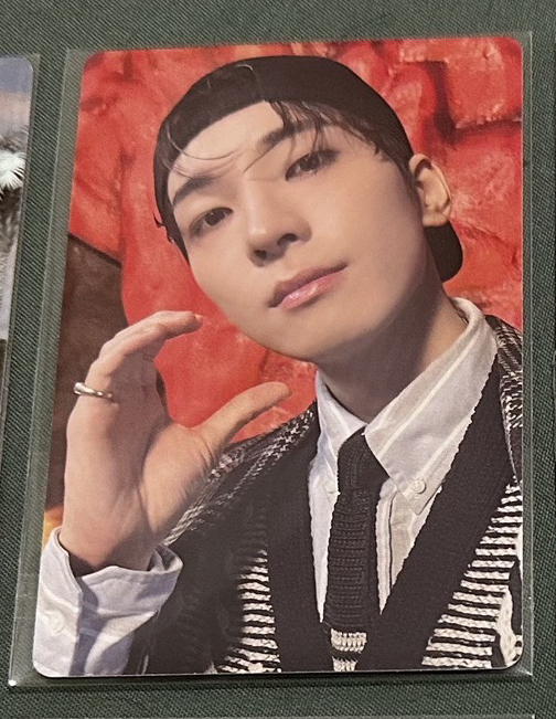 WONWOO 精選專固卡